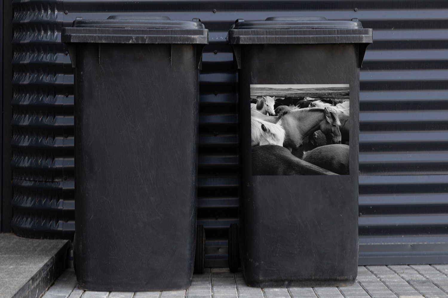 Abfalbehälter Mülltonne, Sticker, Mülleimer-aufkleber, - MuchoWow Pferde - - (1 Container, Wild St), Schwarz Wandsticker Weiß
