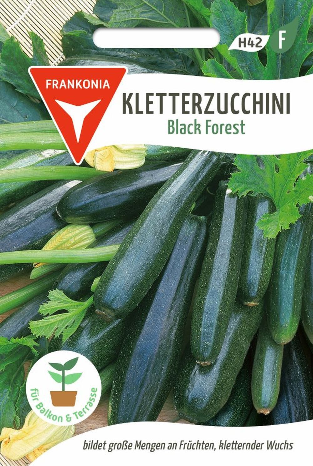 FRANKONIA Gemüsesamen Kletterzucchini, Black Forest F1 - Saatgut Zucchini-Samen Samen, Cucurbita pepo
