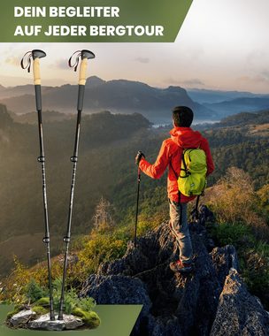Alpenwert Wanderstöcke Teleskop Trekkingstöcke Nordic Walking Stöcke - Korkgriff zum Wandern (Premium Stöcke, Komplett Set 12 Teile), Wanderstöcke, ultraleicht, mit ergonomischen Korkgriffen