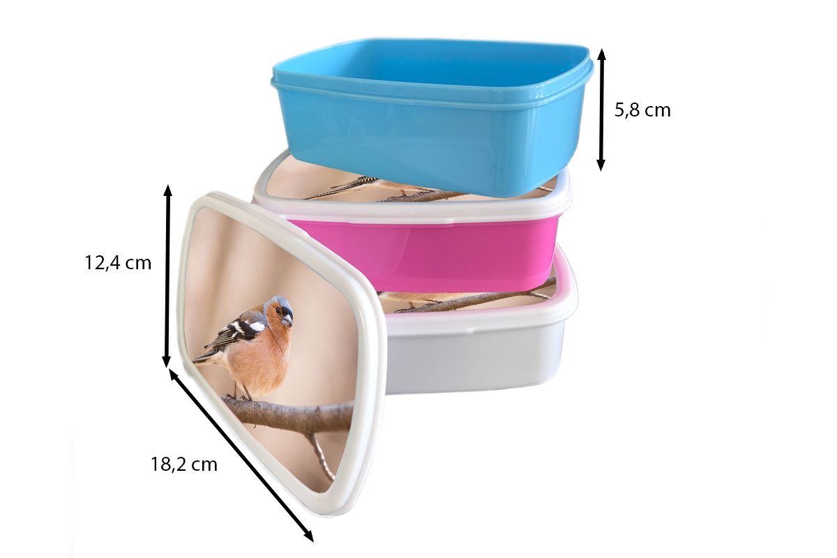 Brotbox Erwachsene, weiß Lunchbox Kinder und (2-tlg), Vogel und Brotdose, Fink, Kunststoff, Mädchen Jungs - für Tiere für - MuchoWow