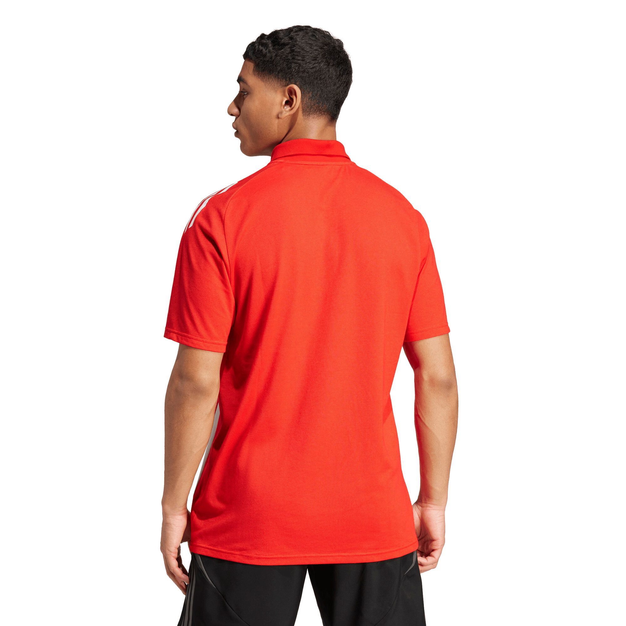 adidas Performance Poloshirt adidas Herren Poloshirt Tiro 24 Competition Polo