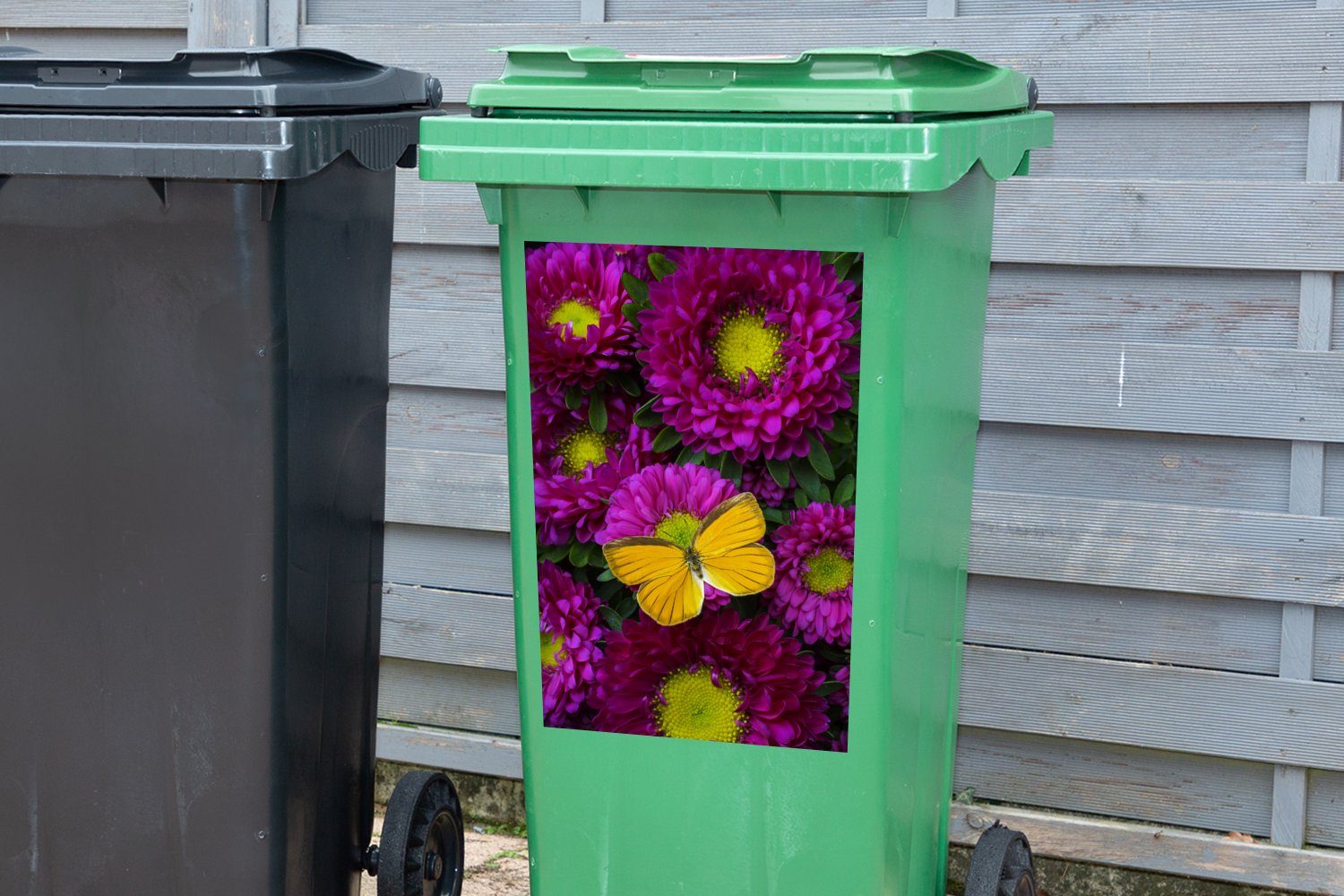 MuchoWow Wandsticker Ein orangefarbener Schmetterling auf Abfalbehälter Mülleimer-aufkleber, Asterblüten Mülltonne, Container, (1 St), Sticker