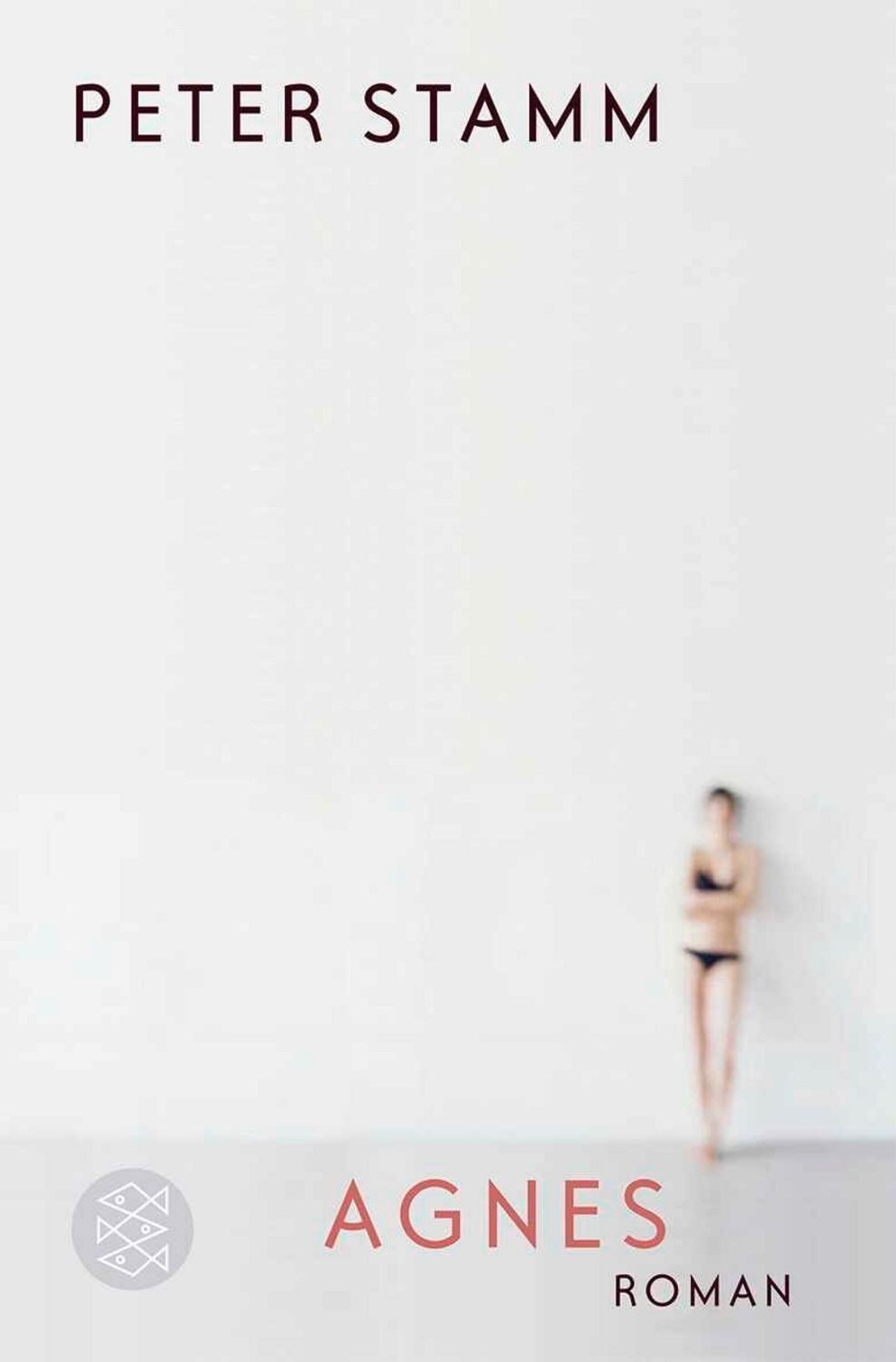 Agnes / Peter Stamm