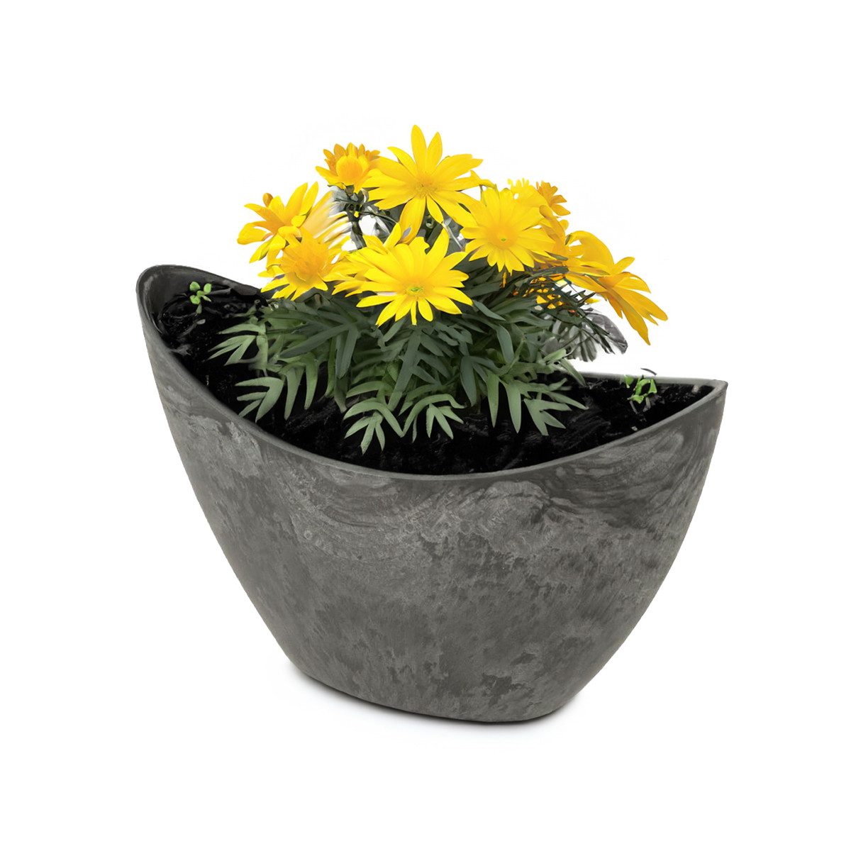 matches21 HOME & HOBBY Blumentopf Pflanzschale Jardiniere 20 cm oval Stein-Optik schwarz für außen (1 St), Outdoor Schiff Deko-Schale als Blumen-Schale Pflanz-Topf Garten-Deko