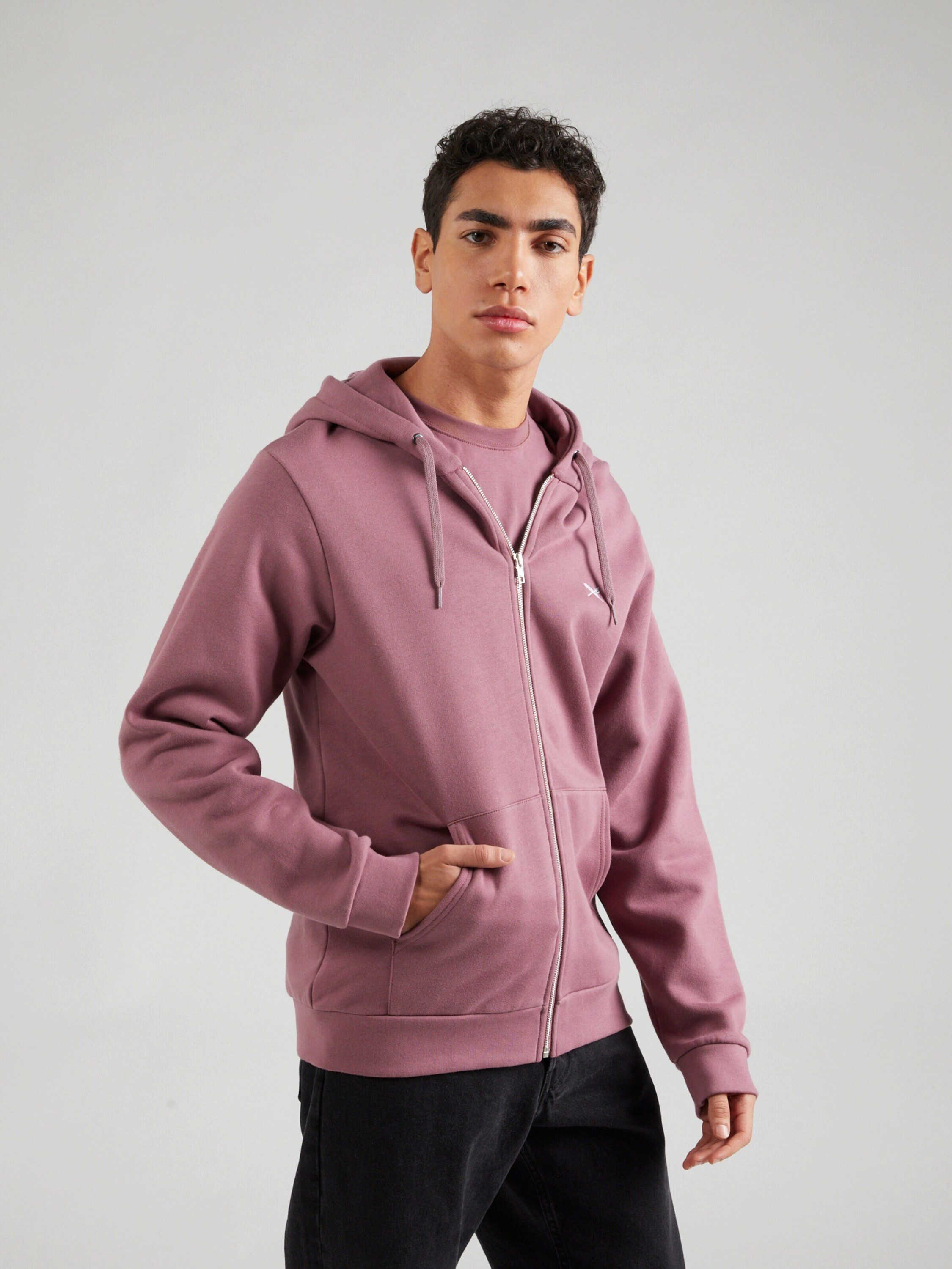 iriedaily Sweatjacke Mini Flag 2 (1-tlg)