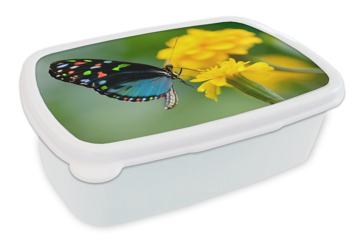 (2-tlg), MuchoWow Insekt, Lunchbox Kinder Brotbox Blume - Brotdose, für - für Schmetterling und - weiß Erwachsene, und Tier Mädchen Jungs Kunststoff,