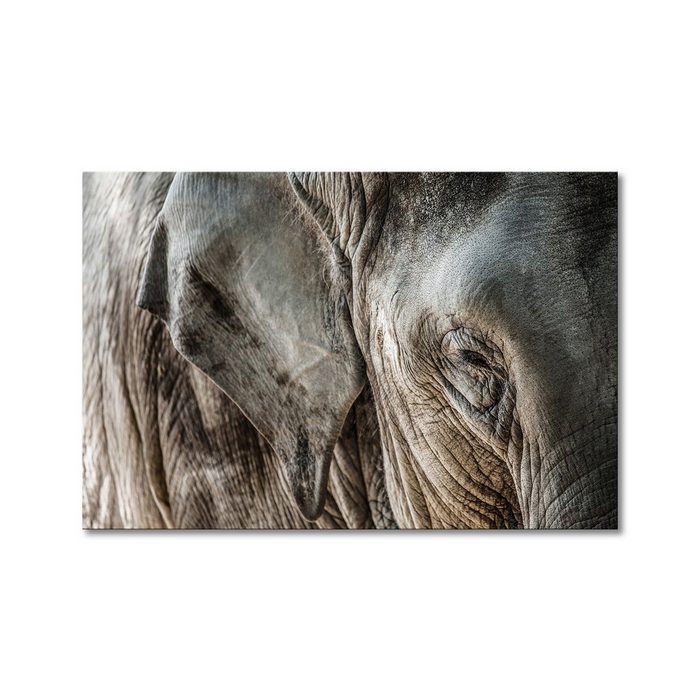 WandbilderXXL Leinwandbild Eye of Elephant (1 St) Wandbild in 6 Größen erhältlich