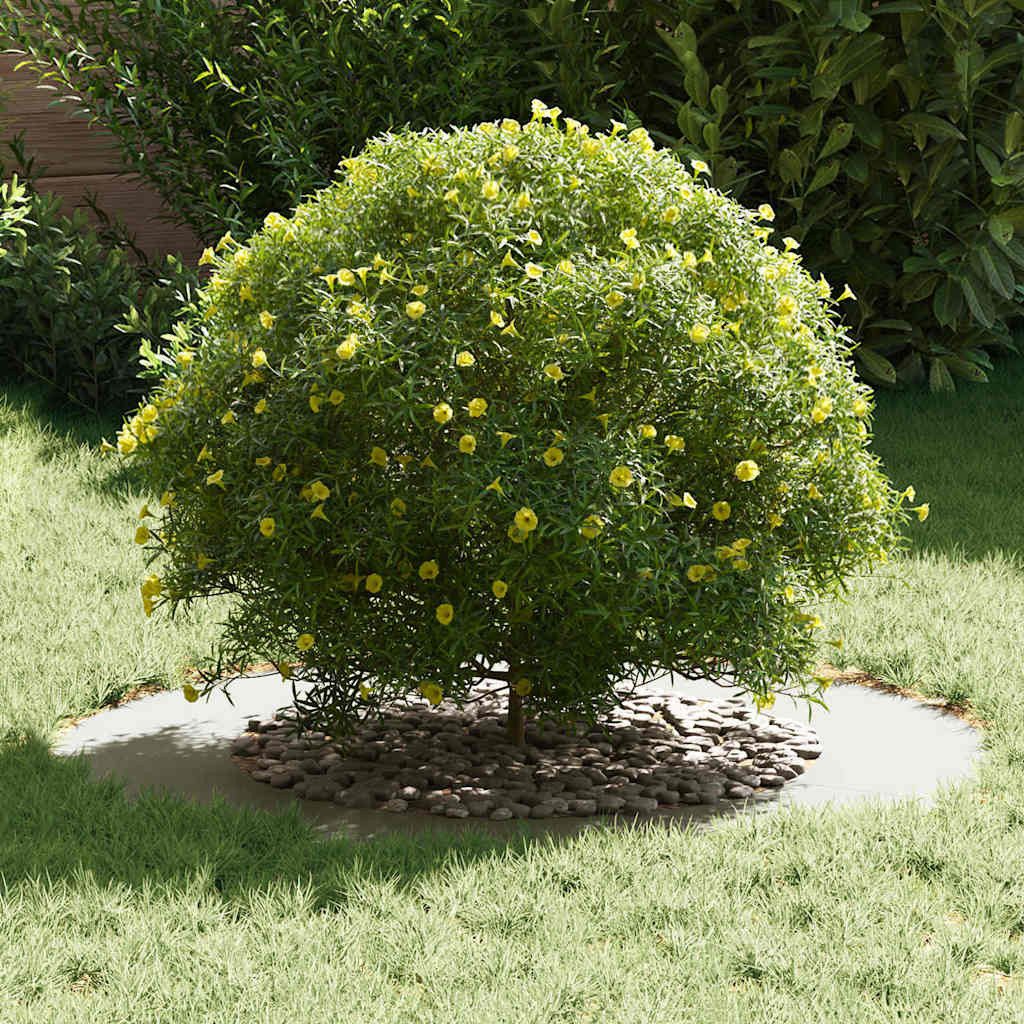 vidaXL Blumentopf Flache Baumringe 5 pcs günstig online kaufen