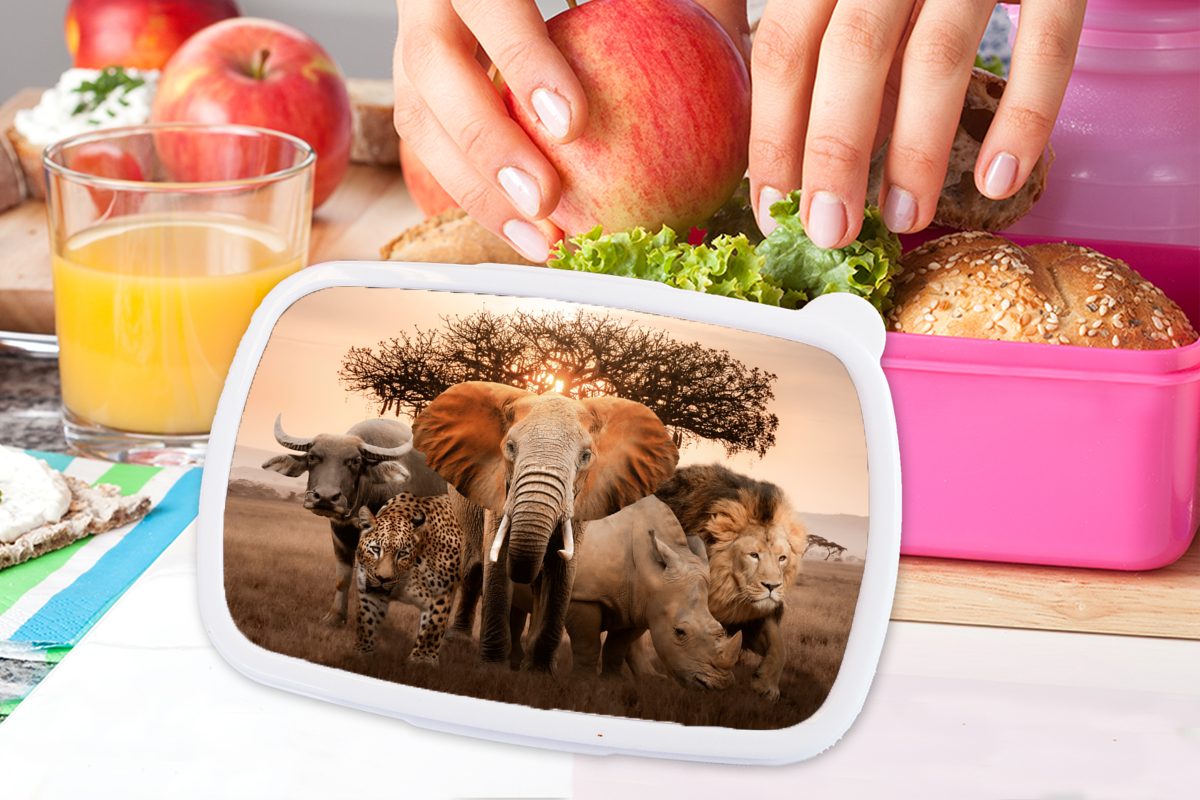 Erwachsene, Elefant (2-tlg), MuchoWow Mädchen, Snackbox, Kinder, Lunchbox für - Tiere Löwe, rosa Kunststoff Brotbox Brotdose Kunststoff, -
