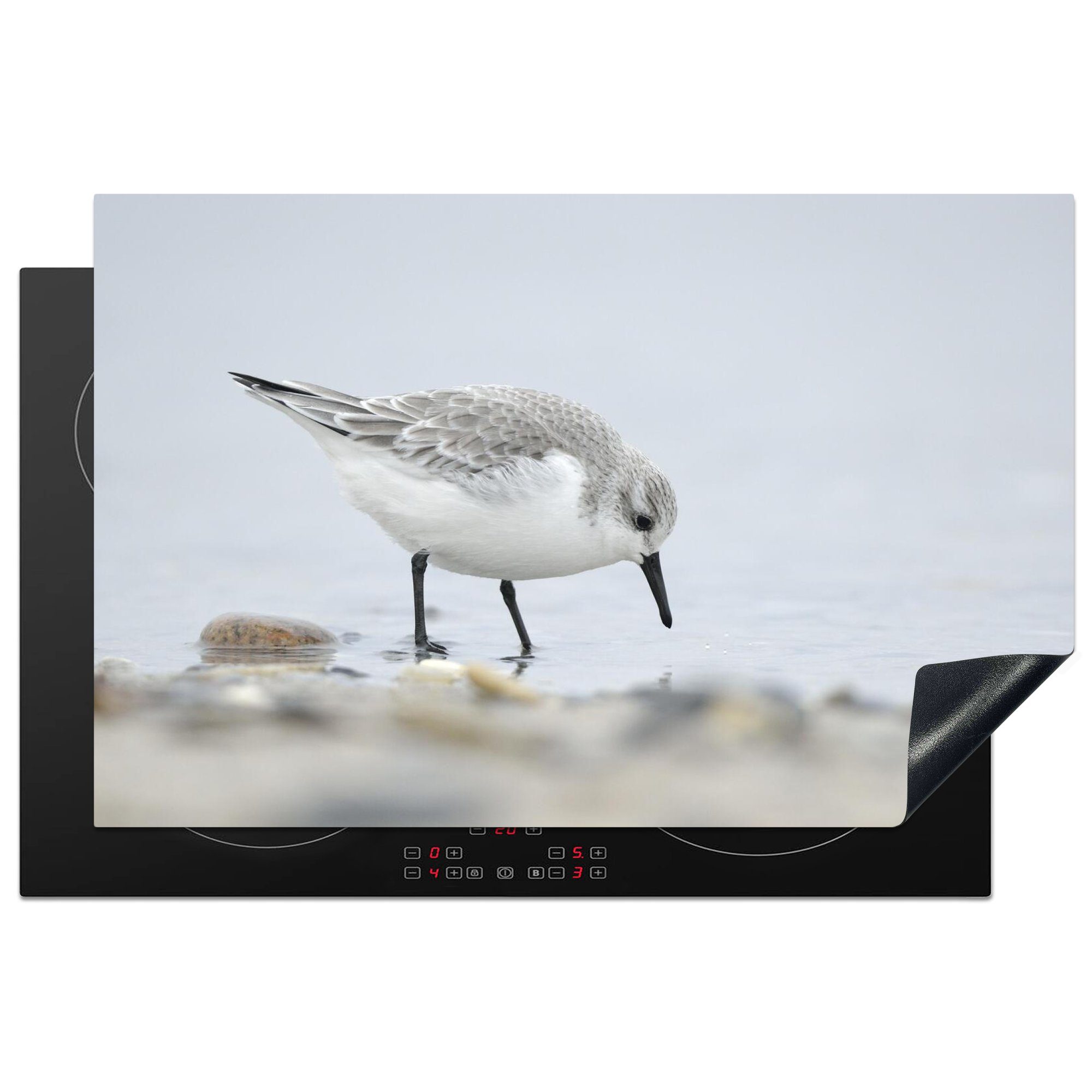 küche, Schutz Ceranfeldabdeckung 81x52 Nahrungssuche, (1 Vinyl, cm, tlg), Herdblende-/Abdeckplatte die Sanderling auf für Induktionskochfeld MuchoWow