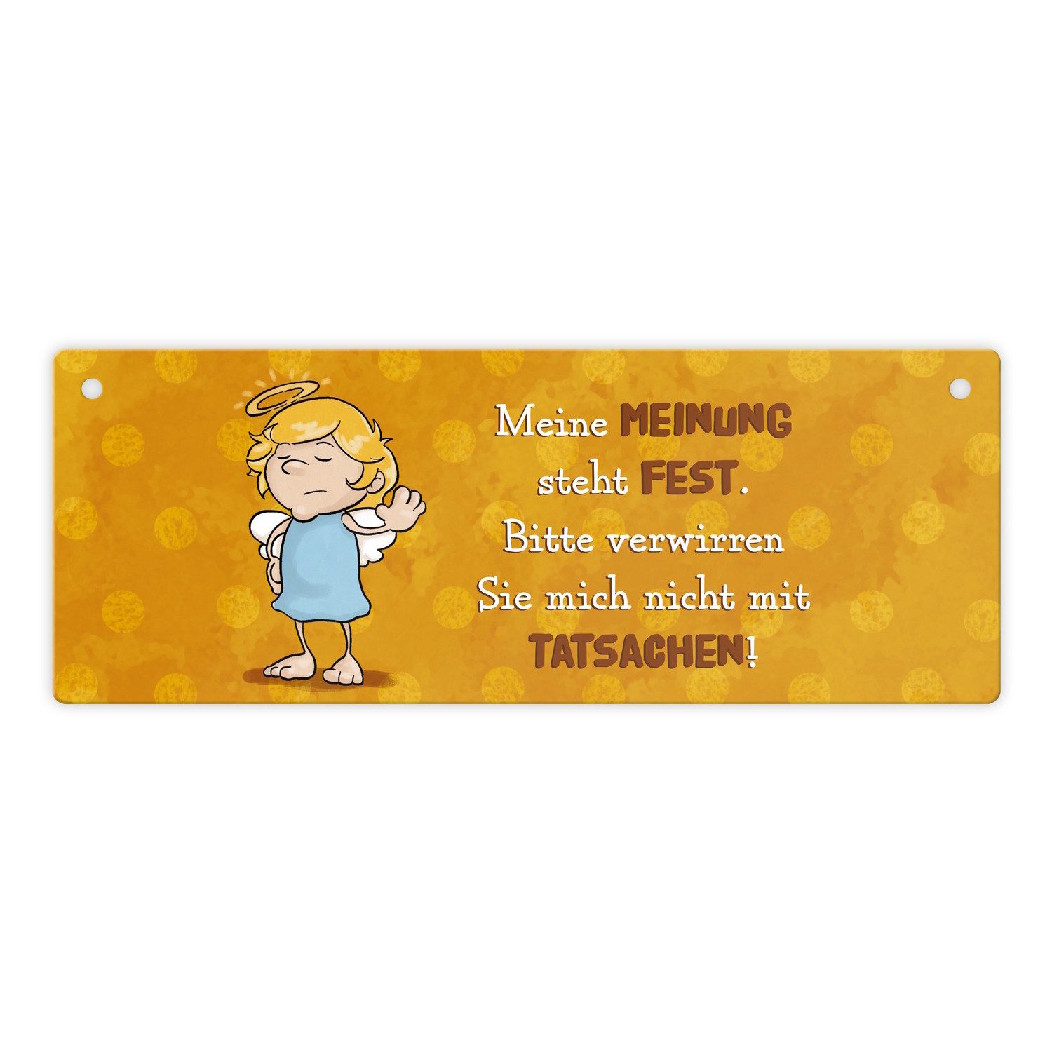 speecheese Metallschild Meine Meinung steht fest. Bitte verwirren Sie mich nicht mit