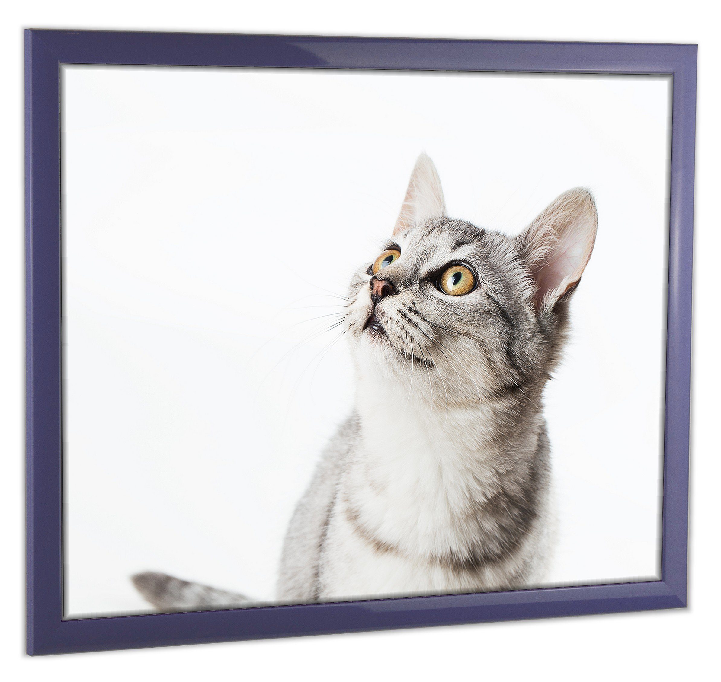 myposterframe Фоторамки Рамки Cupid Bunt, (1 Stück), 20x20 cm, Lila, Echtholz