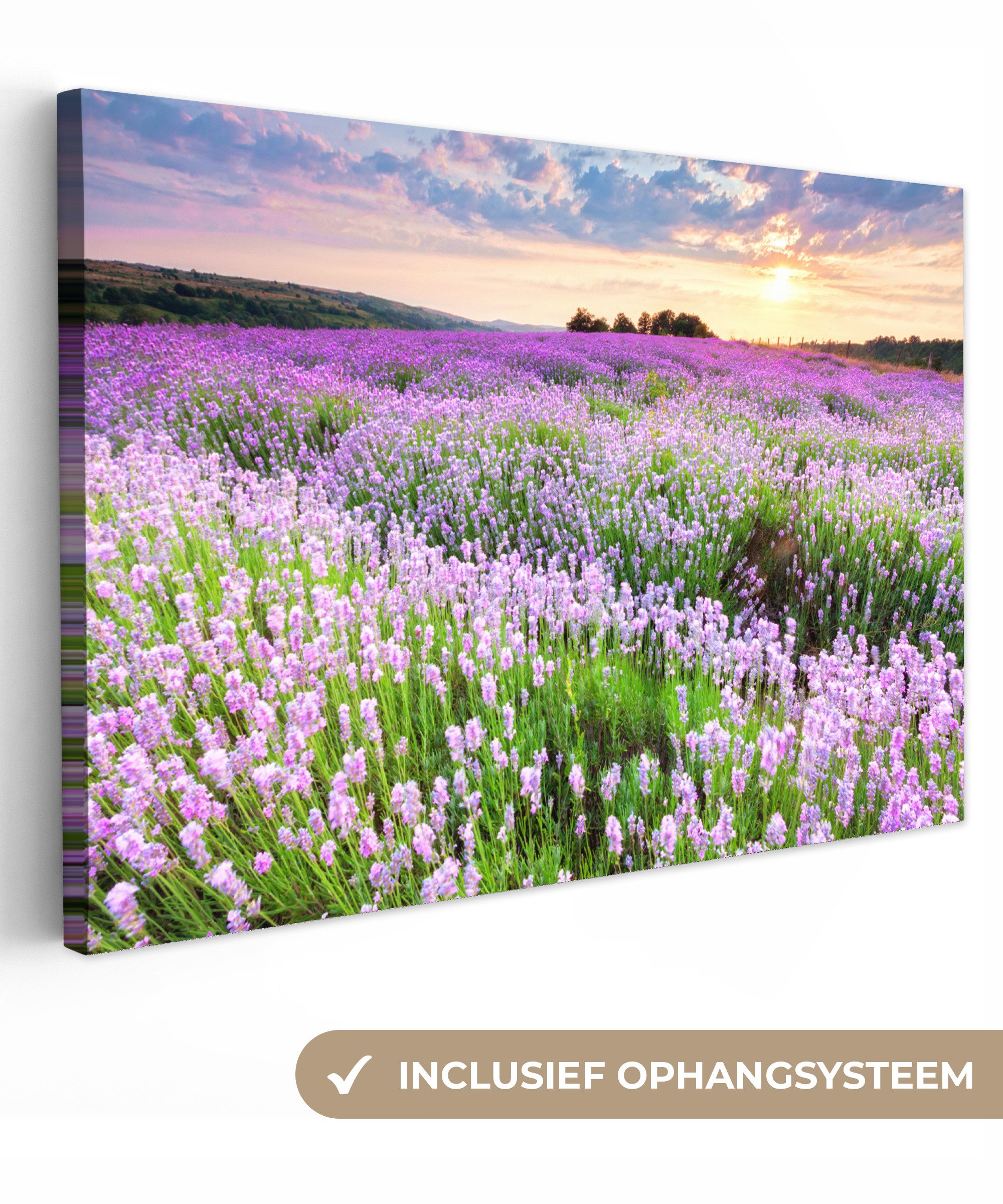 OneMillionCanvasses® Leinwandbild Blumen - Lavendel - Lila - Himmel - Sonnenuntergang - Wiese - Natur, Fotodruck (1 St), Leinwände Wanddeko Wohnzimmer Schlafzimmer 60x40 cm