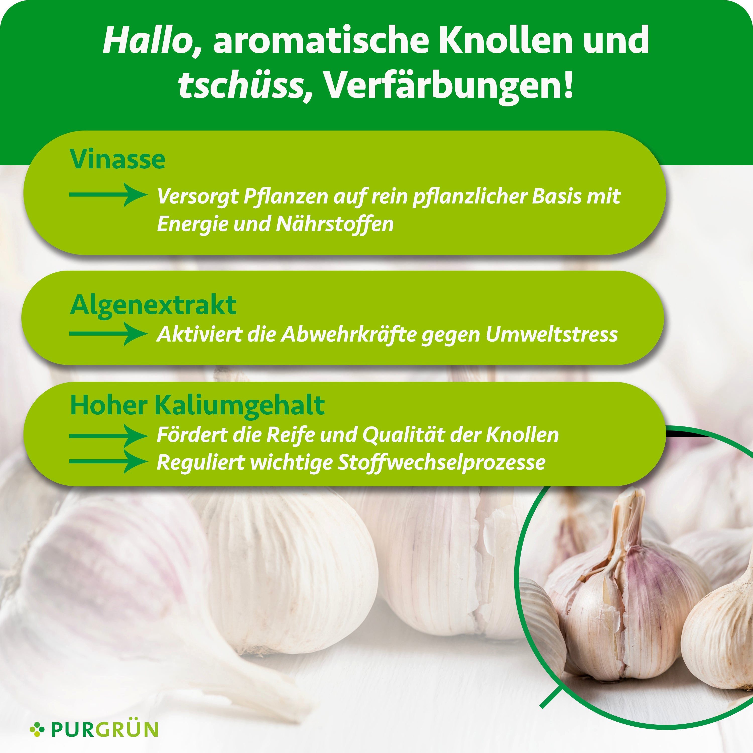 Purgrün Gemüsedünger Bio Knoblauch Dünger, NPK 4+1+7, Algenextrakt, 1 Liter, Flüssigdünger, 1-St., 1 Liter