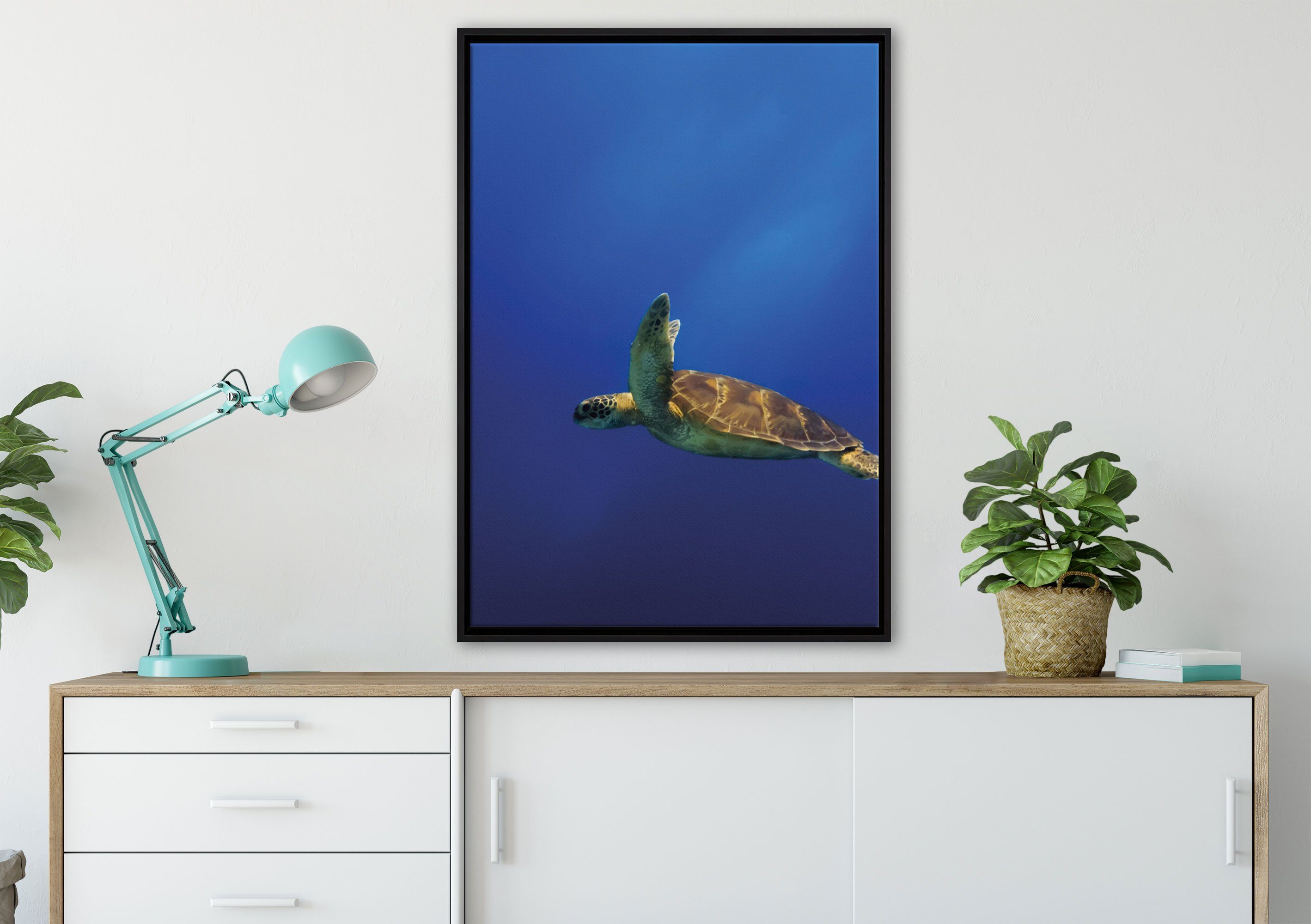 inkl. Meer, in Leinwandbild St), einem im fertig bespannt, Pixxprint (1 Wanddekoration Schildkröte Schattenfugen-Bilderrahmen Zackenaufhänger gefasst, Leinwandbild