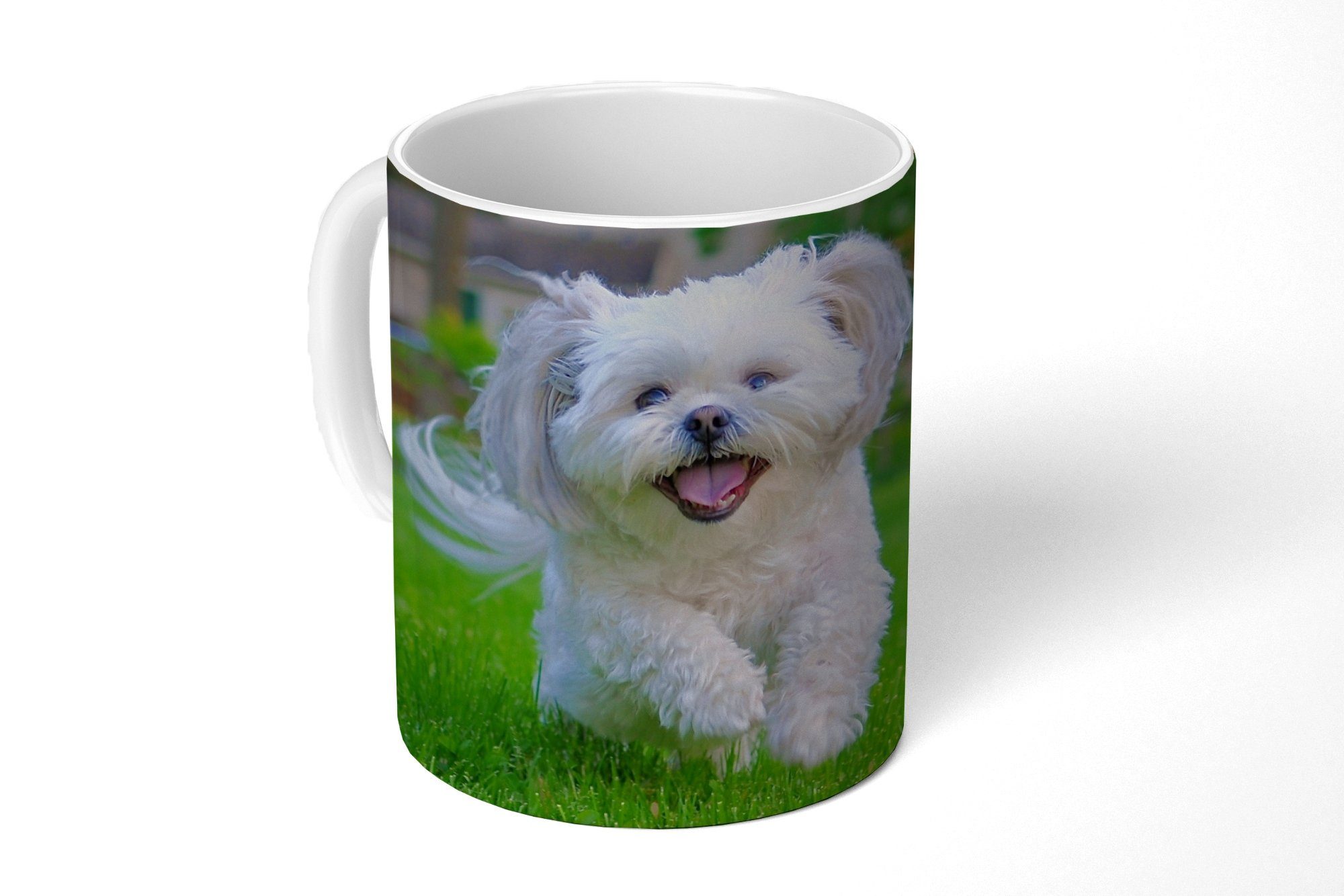 MuchoWow Tasse Ein Shih Tzu Hund läuft durch das grüne Gras, Keramik, Kaffeetassen, Teetasse, Becher, Teetasse, Geschenk