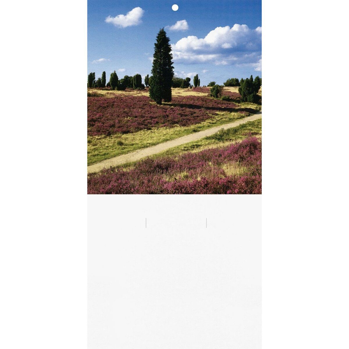 BRUNNEN Abreißkalender Kalenderrückwand 15x31cm weiß