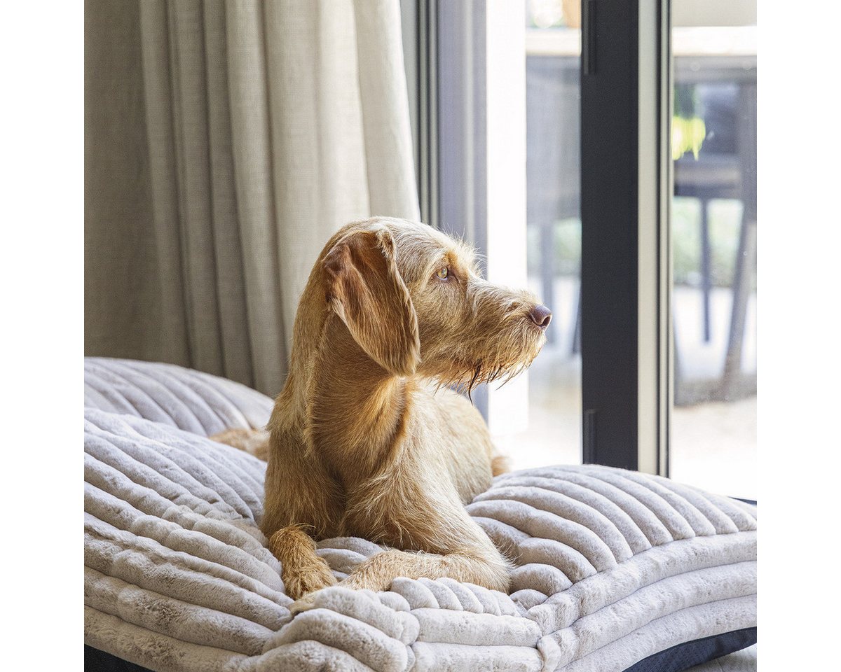 Thumbnail - Designed By Lotte Tierkissen Hundekissen Reza beige
