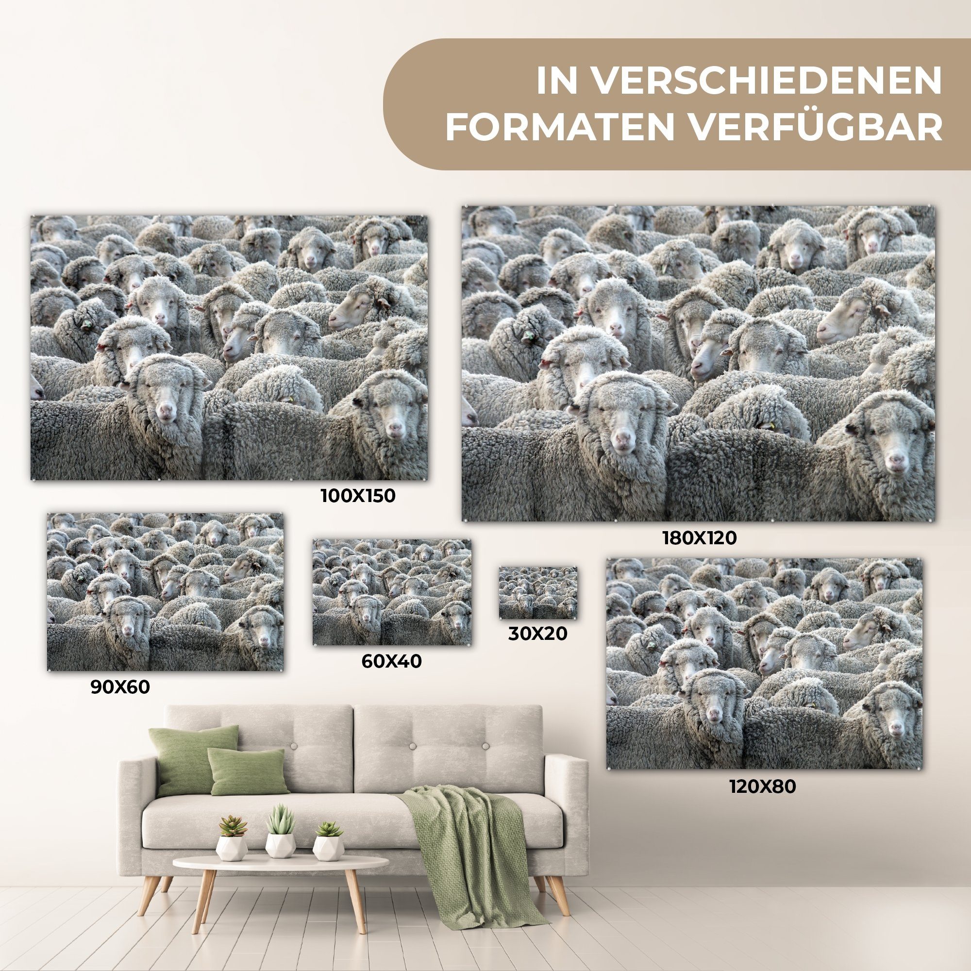 MuchoWow Acrylglasbild Tiere - Schafe Acrylglasbilder & (1 - St), Schlafzimmer Wohnzimmer Schafsfell