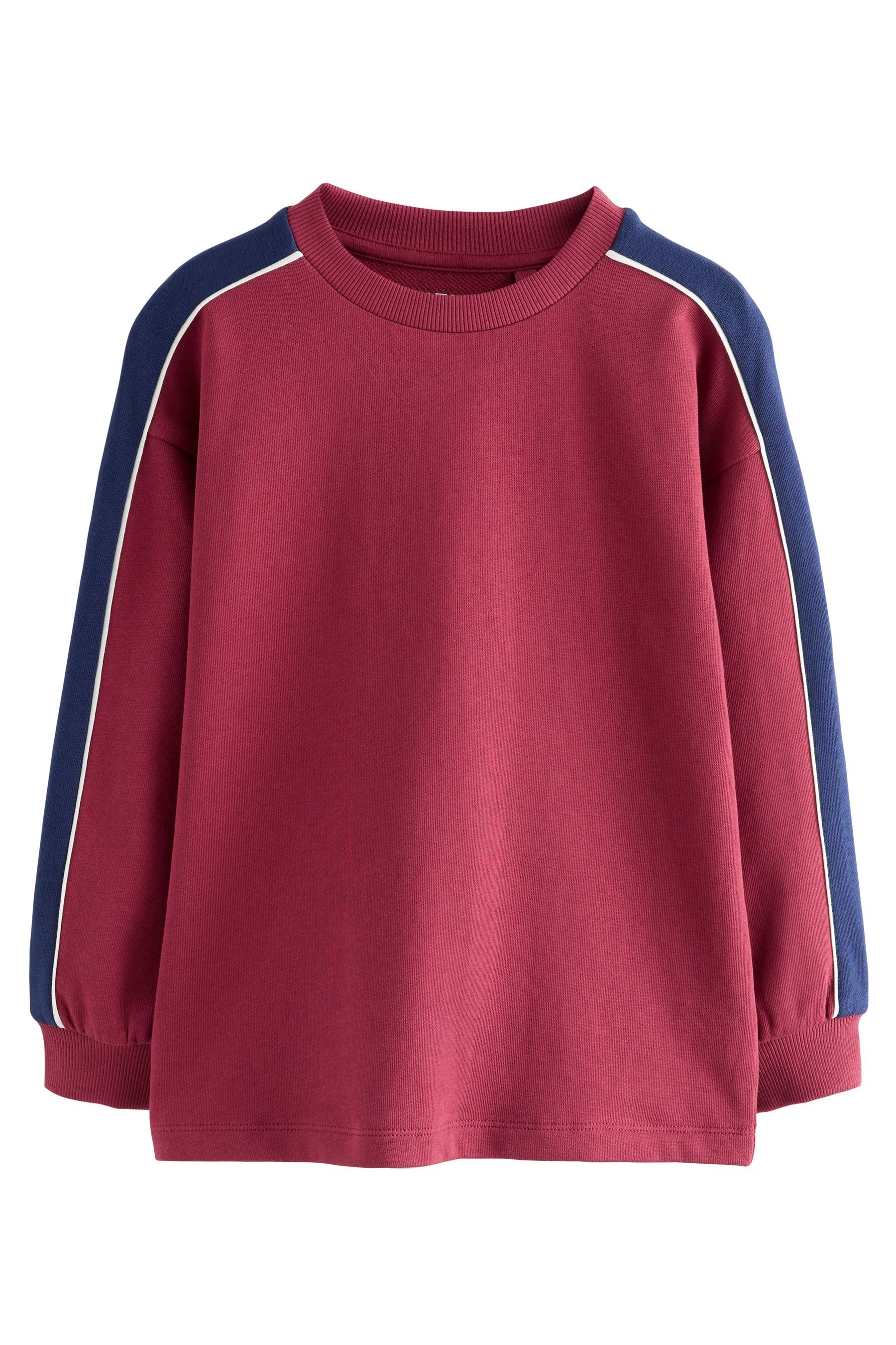 Langarmshirt Relaxed Fit Schweres Langarmshirt in Blockfarben