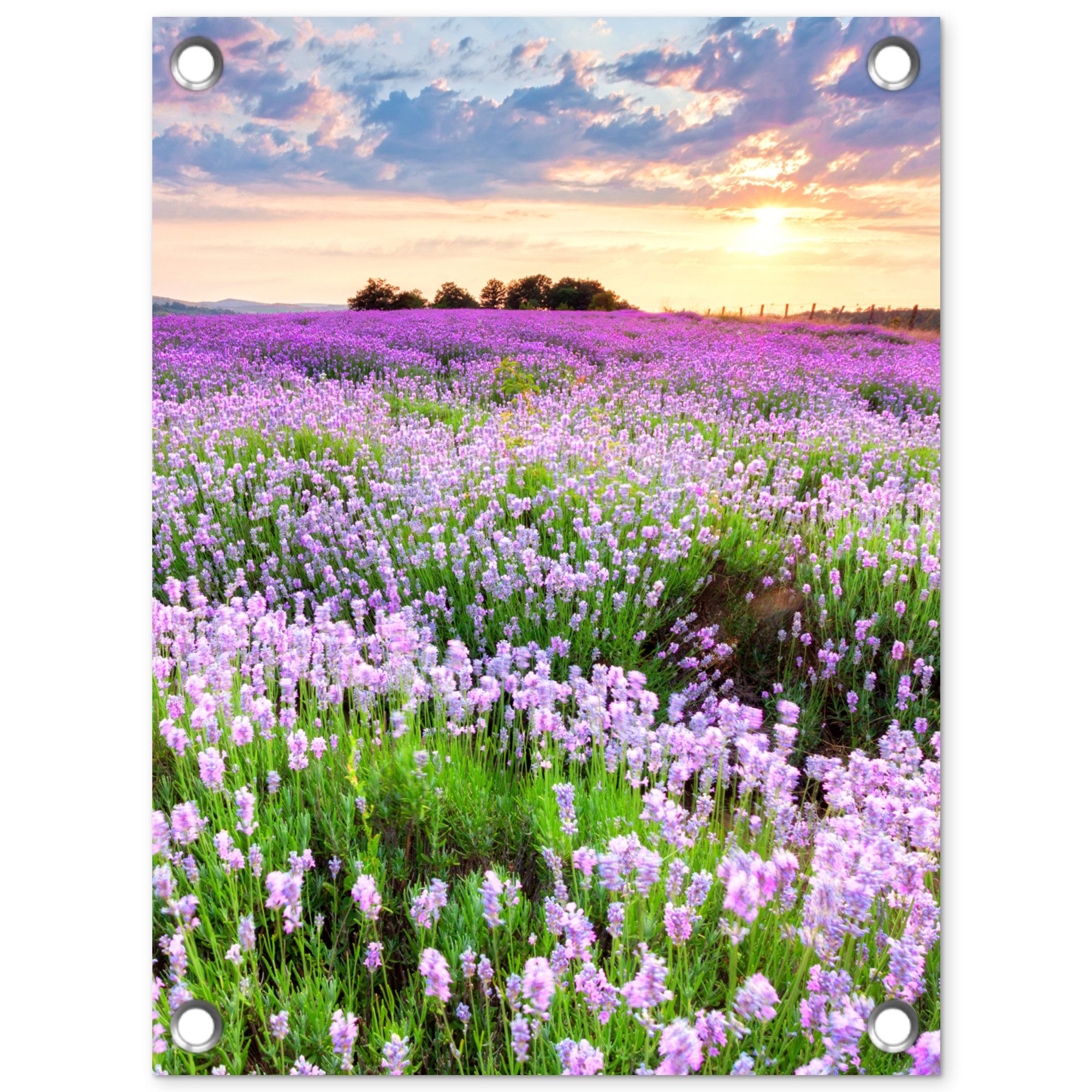 OnlyWow Poster für Garten Blumen - Lavendel - Lila - Himmel - Sonnenuntergang - Wiese, Gartenposter, Outdoor Bilder, Gartendeko für draußen, 30x40 cm
