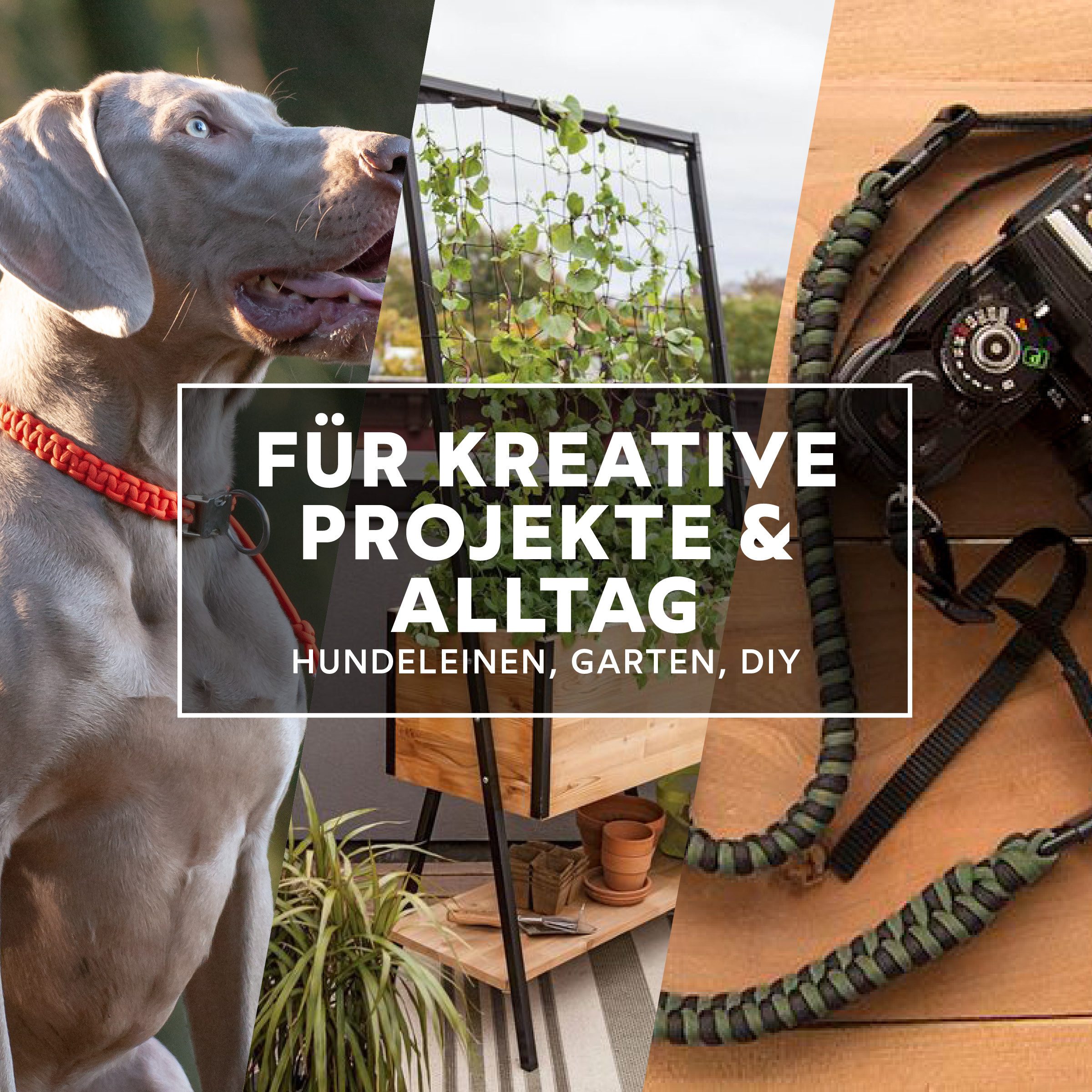 GO!elements Seil Paracord 750 - 4,5mm