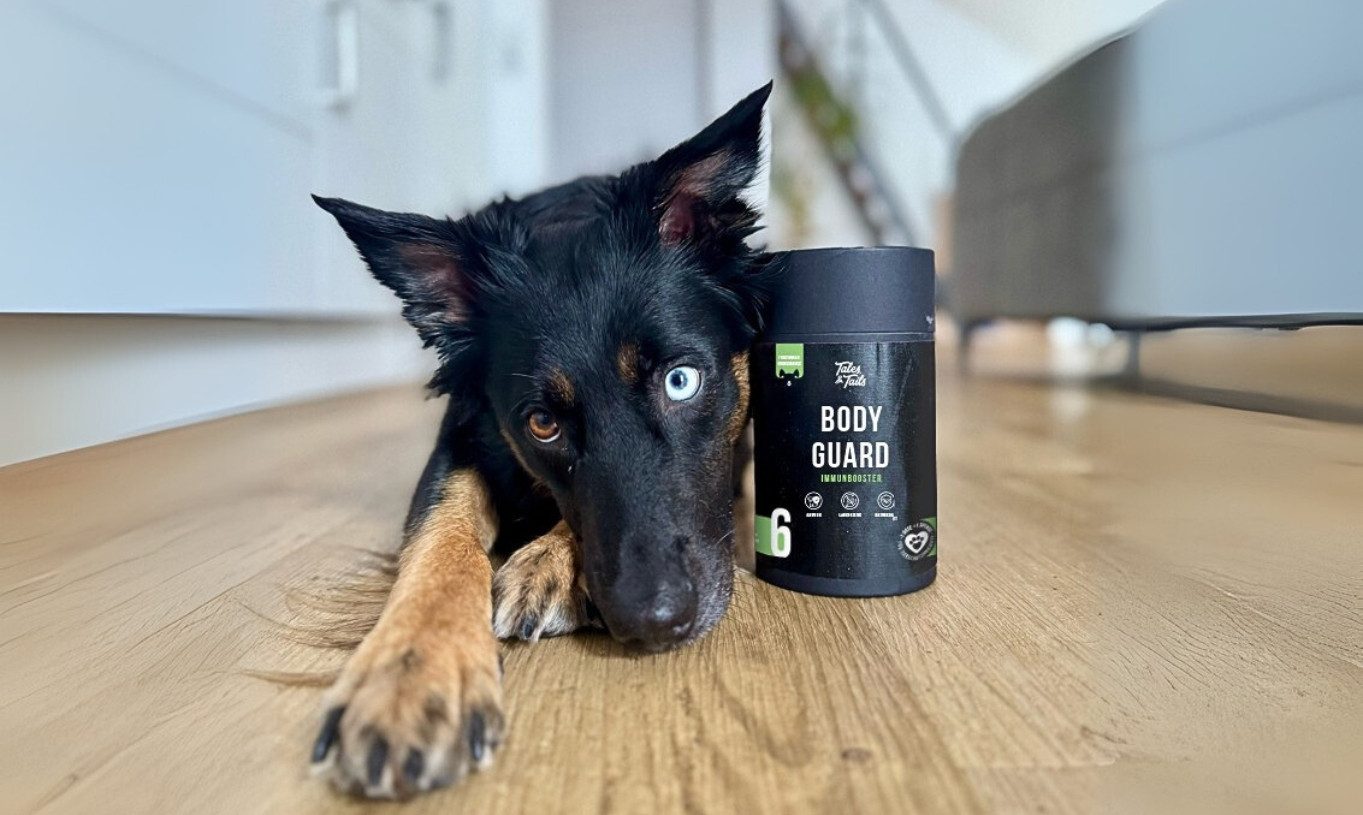 Tales & Tails Bodyguard - Funktionaler Hundesnack, Snack für: Hunde