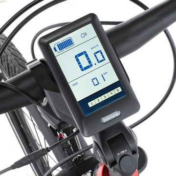 FISCHER Fahrrad E-Bike VIATOR ETD 2222 557, 24 Gang Shimano Altus Schaltwerk, Kettenschaltung, Heckmotor, 557 Wh Akku, Pedelec, Elektrofahrrad für Damen, Trekkingrad