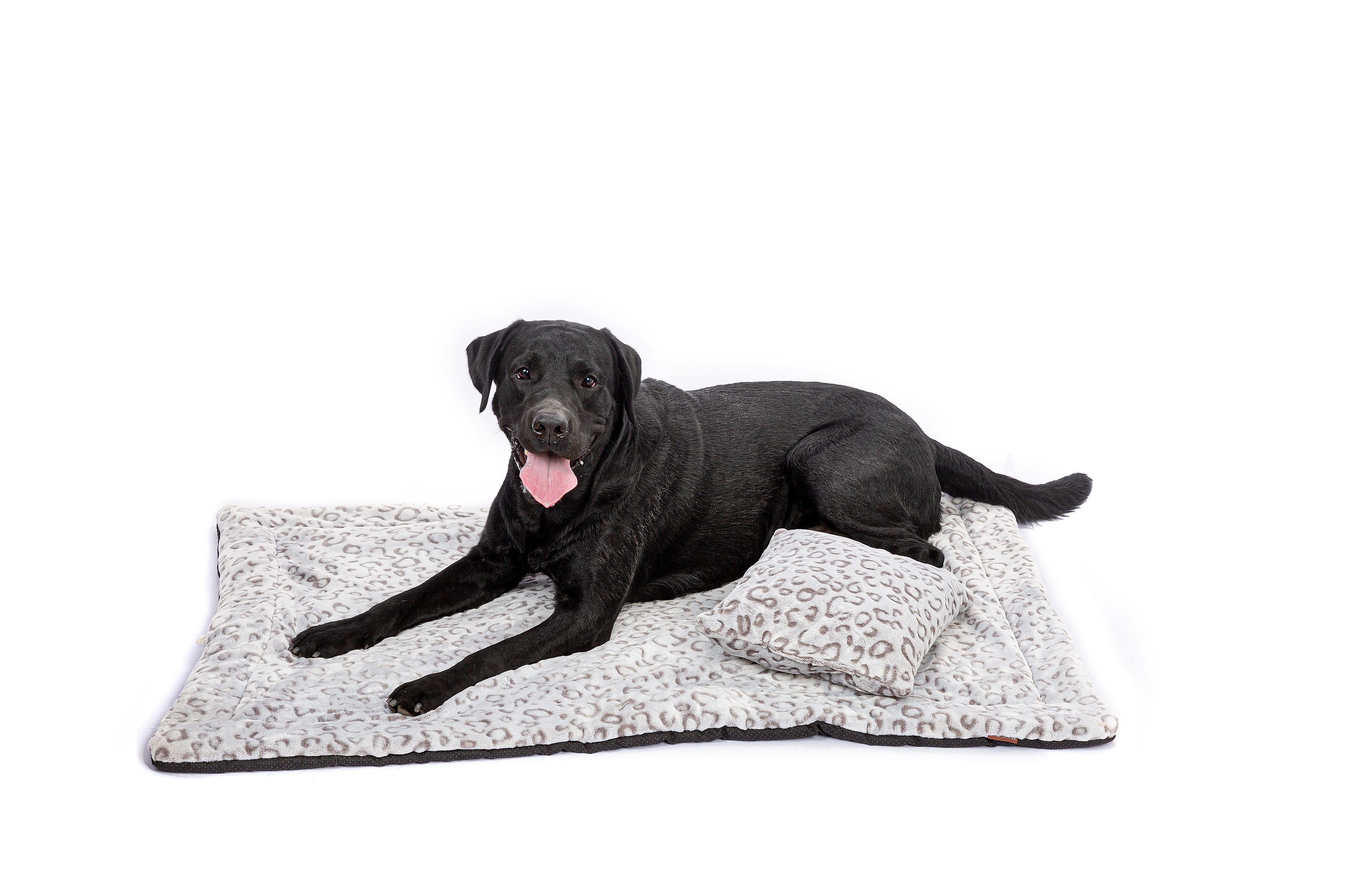 RAIKOU Tierdecke Haustierbett / Hundebett / günstig online kaufen