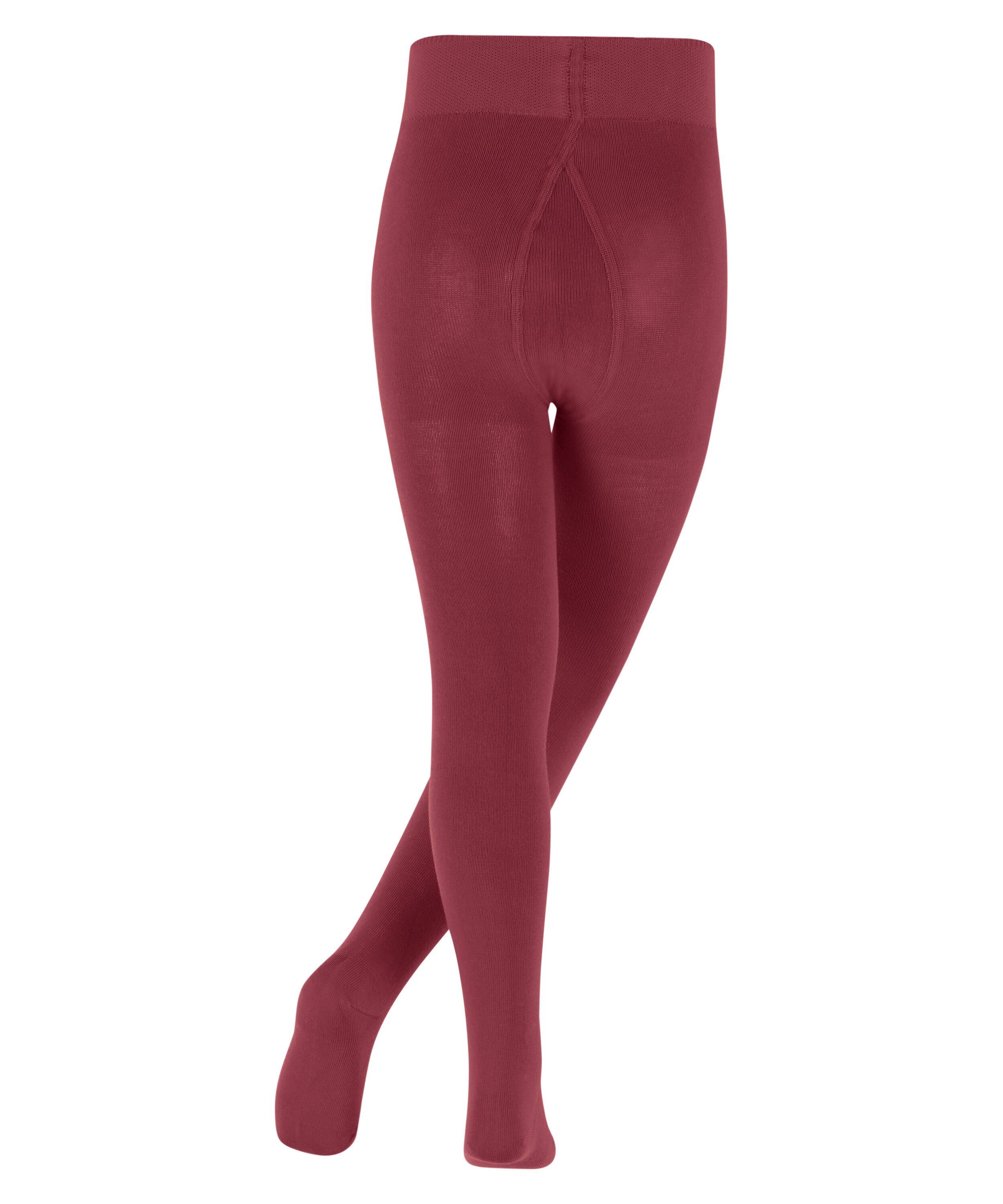 FALKE Strickstrumpfhose Family Strumpfhose (1 St)