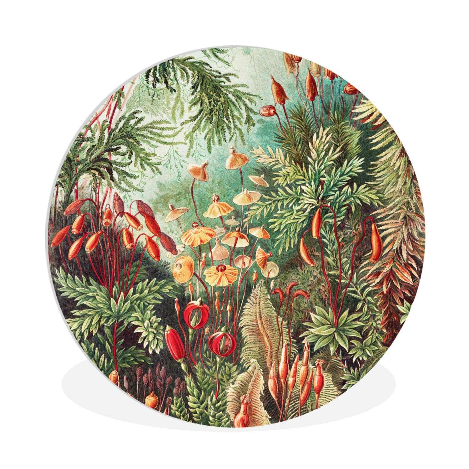 MuchoWow Gemälde Blumen - Kunst - Vintage - Natur - Botanisch, (1 St), Kreis Wanddekoration Forex, Rundes Wandbild, Wohnzimmer, 60x60 cm
