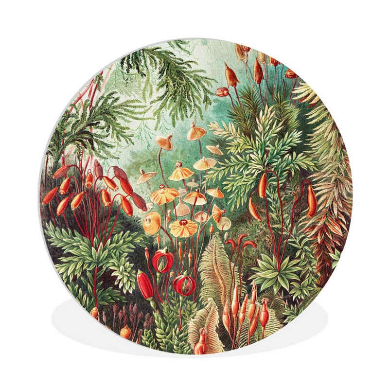 MuchoWow Gemälde Blumen - Kunst - Vintage - Natur - Botanisch, (1 St), Rundes wandbild für Wohnzimmer, Wandkreis, Wandschmuck, 90x90 cm