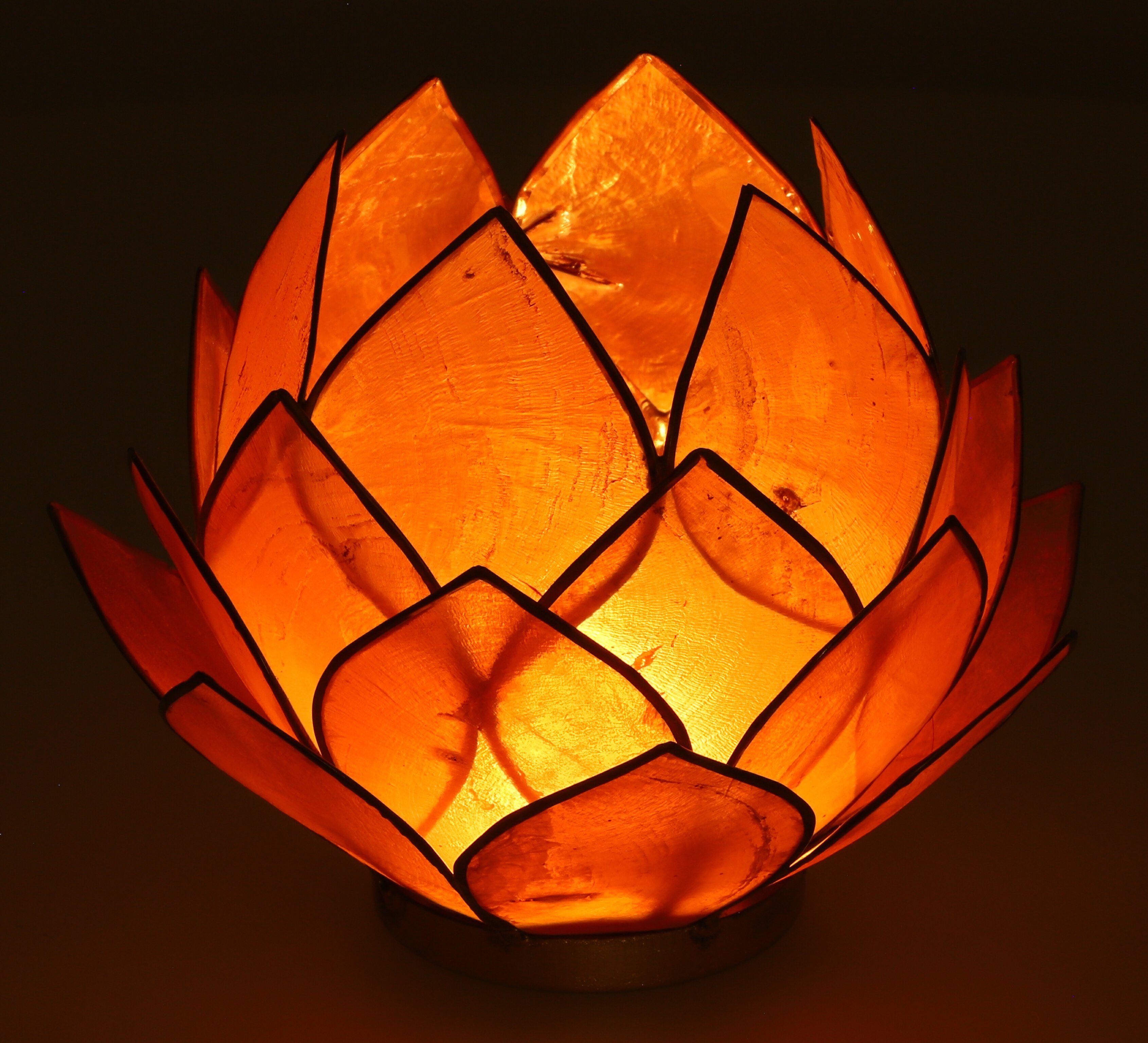 Teelicht 14*10 Guru-Shop Muschel Lotus Windlicht cm - orange