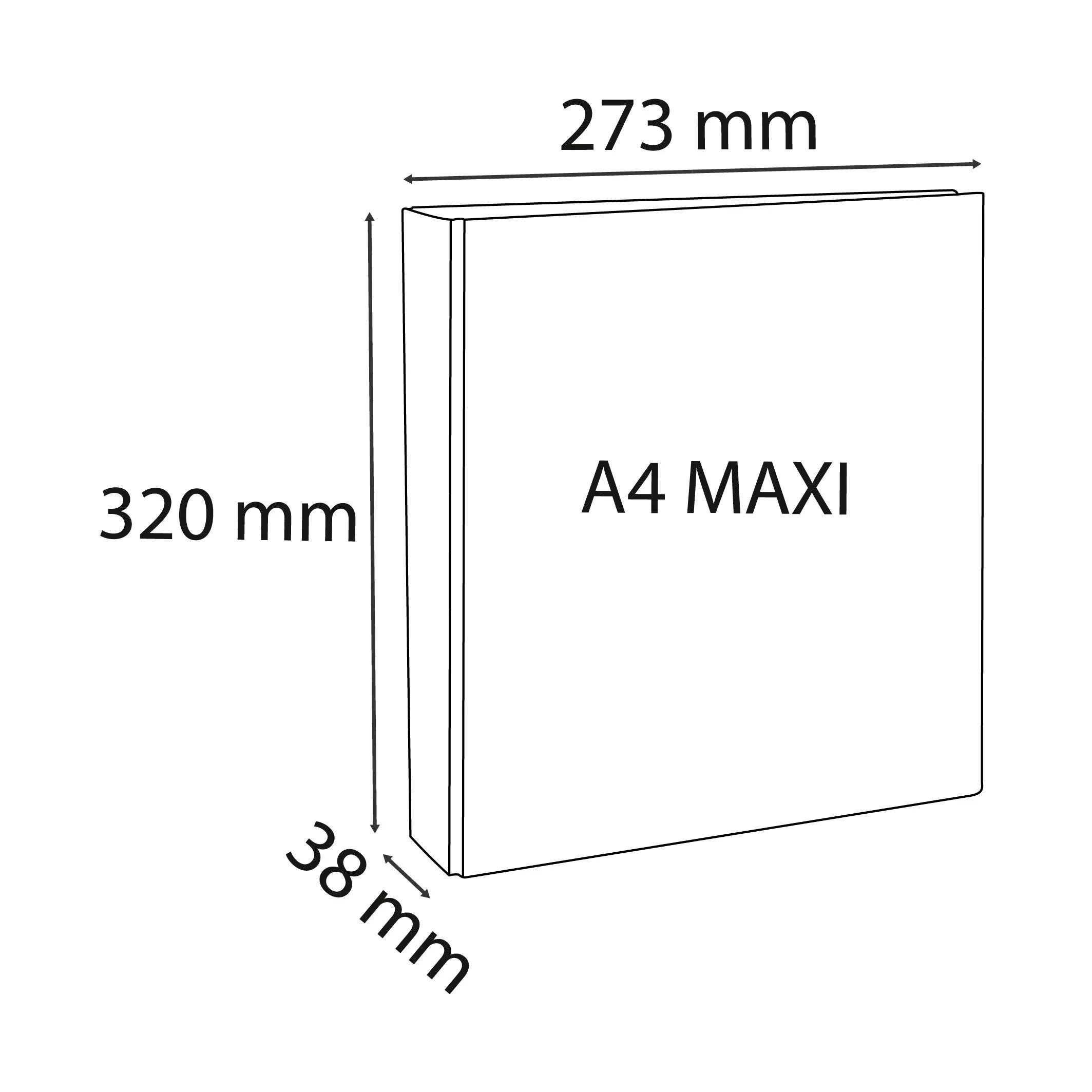EXACOMPTA Ringbuchmappe 10x Ringhefter PP 19mm 2Ring 20mm D Rücken 38mm A4 Maxi Weiß 51921E, Ringbuch/Ordner