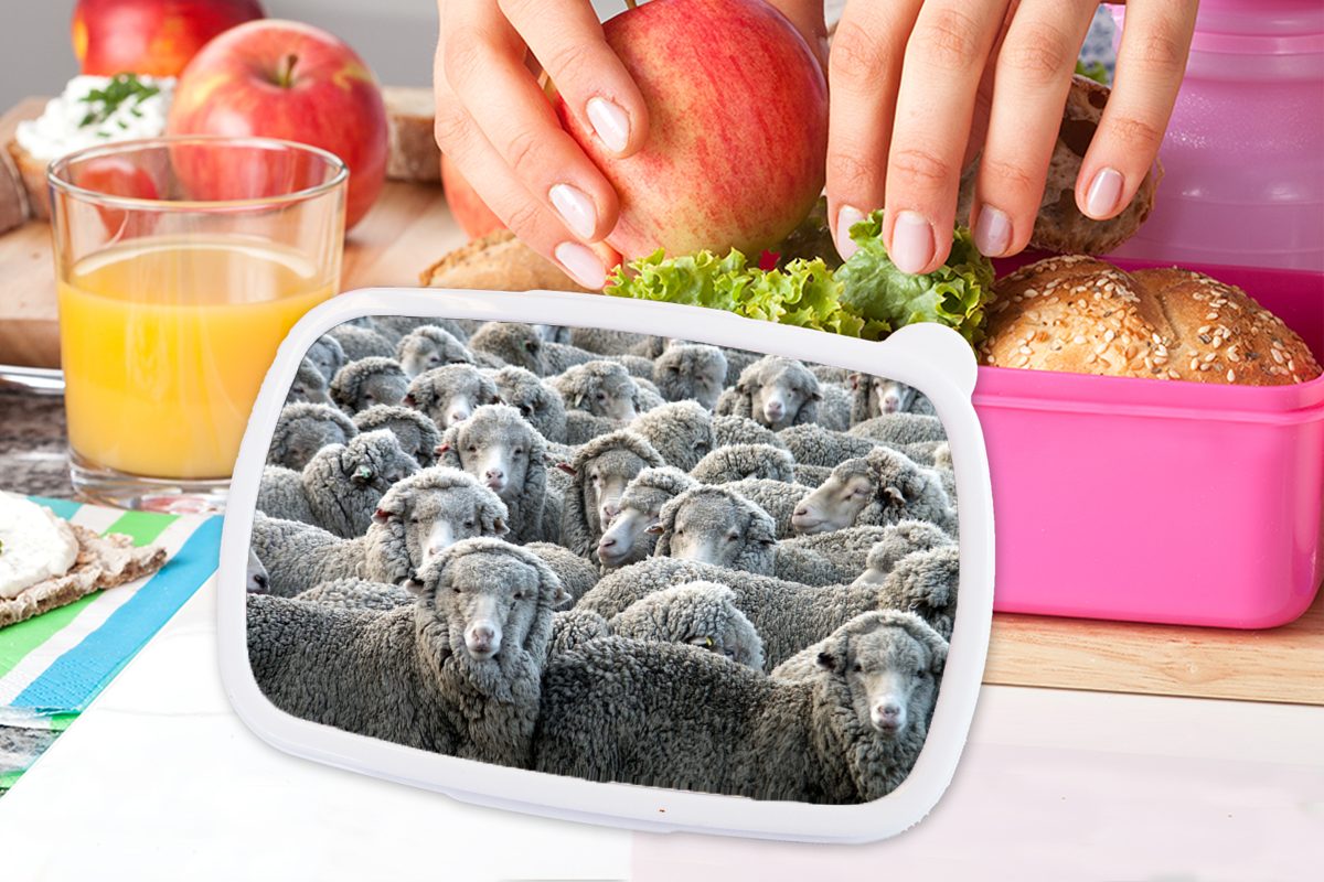 Brotbox Schafe Erwachsene, Brotdose Kinder, Kunststoff Mädchen, - Lunchbox Tiere (2-tlg), - Kunststoff, rosa Snackbox, Schafsfell, für MuchoWow
