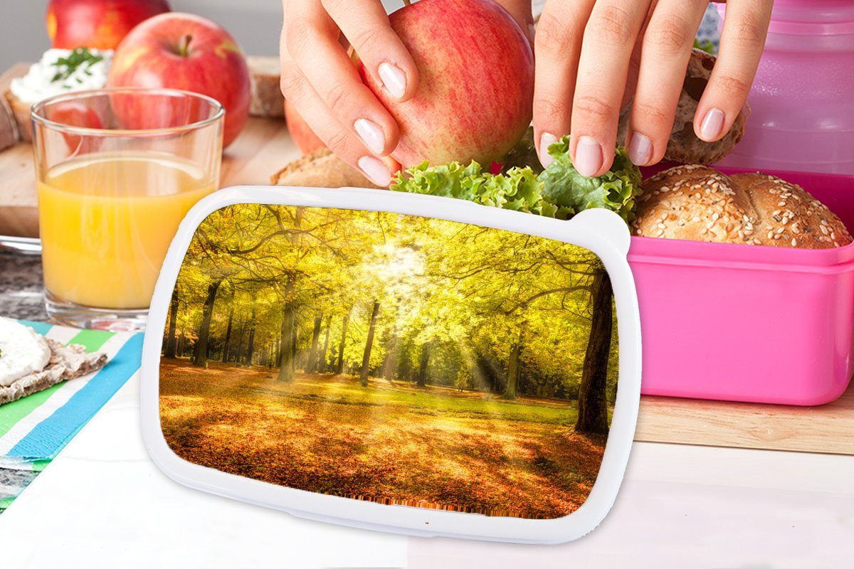 Landschaft Sonne - Kinder, Mädchen, - Snackbox, - rosa MuchoWow Erwachsene, Baum - Kunststoff für Brotdose Brotbox (2-tlg), Lunchbox Natur Kunststoff, Wald,