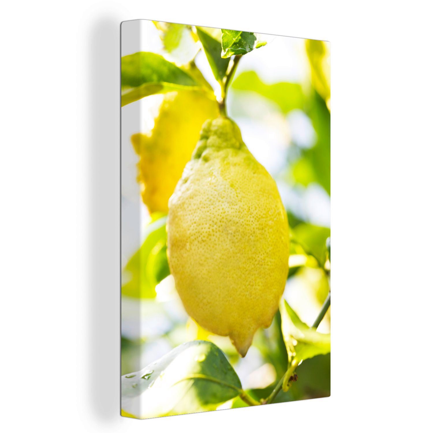 OneMillionCanvasses® Leinwandbild Lichtaufnahme der Zitrone, die an einem Ast mit Zitronenblättern hängt, (1 St), Leinwandbild fertig bespannt inkl. Zackenaufhänger, Gemälde, 20x30 cm
