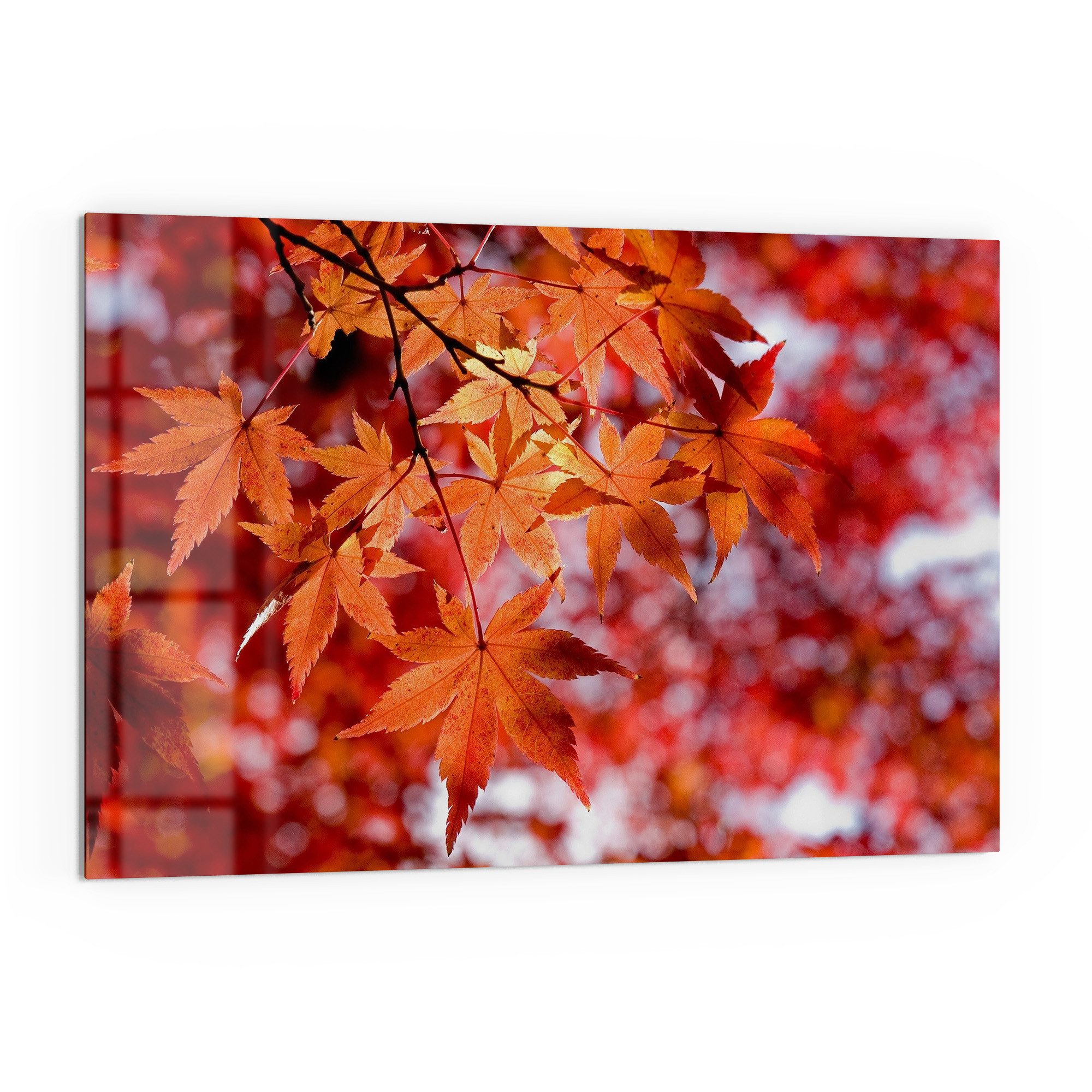 DEQORI Küchenrückwand 'Herbstblattglanz', Glas Spritzschutz Badrückwand Herdblende