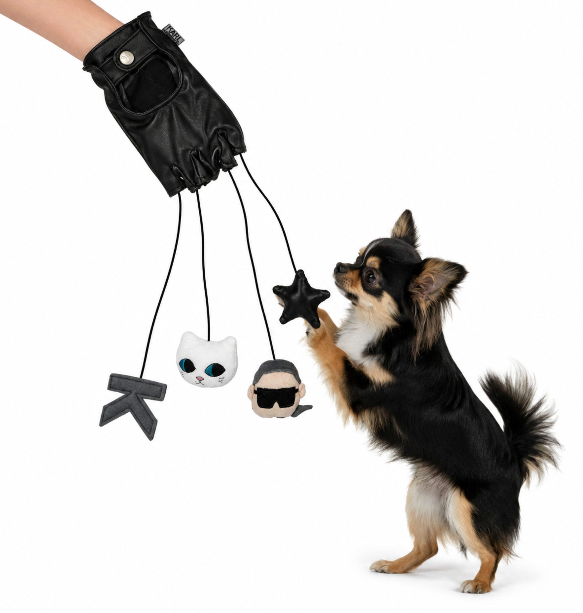KARL LAGERFELD Katzenspielrad Haustiere Hund Katze Interaktiv Handschuhe Spielzeug Spiel