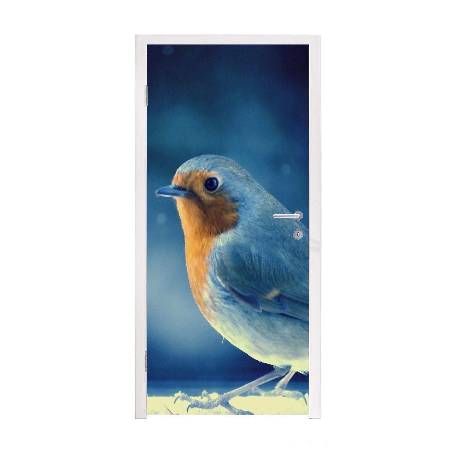 MuchoWow Türtapete Rotkehlchen - Blau - Schnee, Matt, bedruckt, (1 St), Fototapete für Tür, Türaufkleber, 75x205 cm | Türtapeten