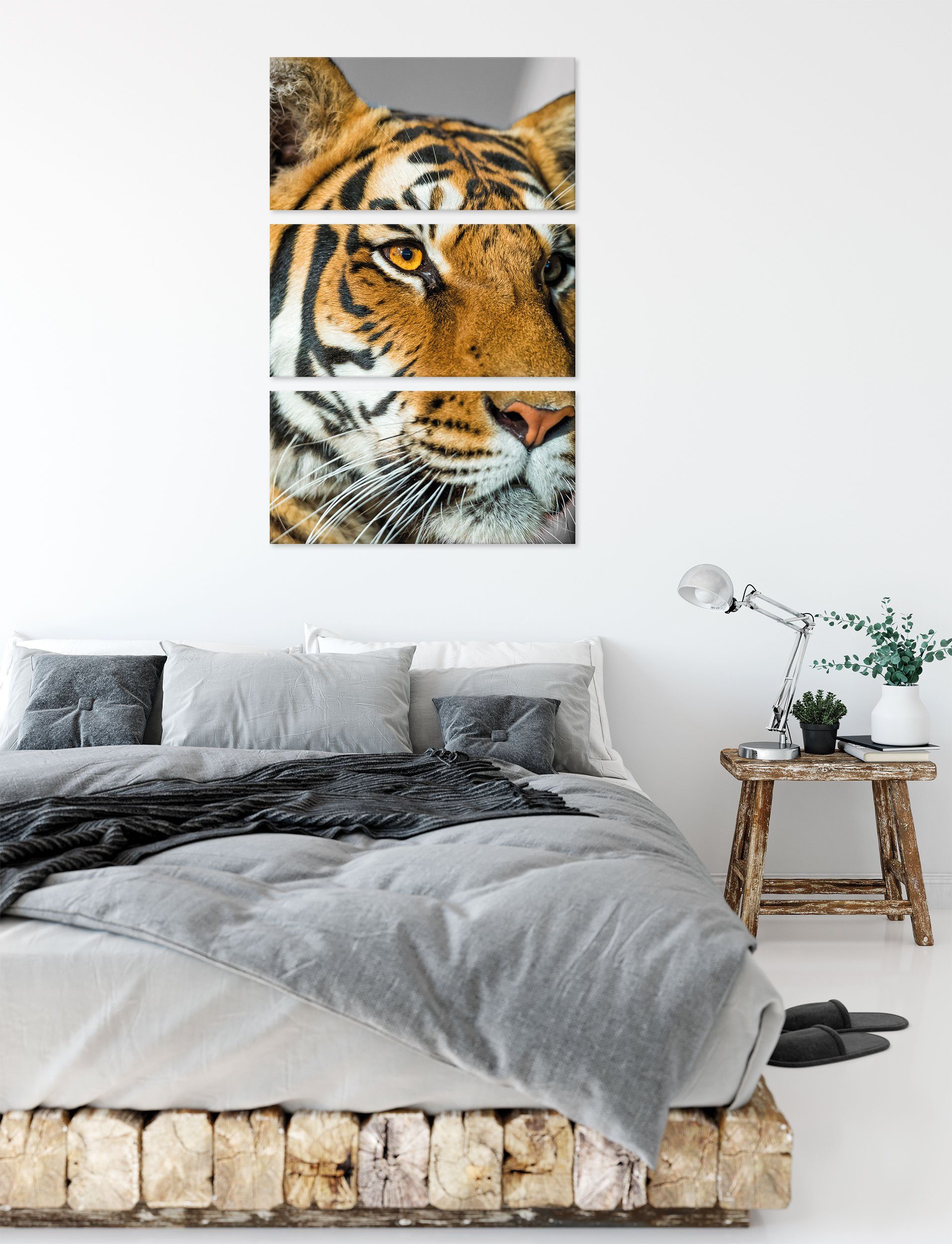fertig (120x80cm) Leinwandbild Leinwandbild Tiger bespannt, inkl. Pixxprint bildschöner Tiger, 3Teiler (1 Zackenaufhänger St), bildschöner