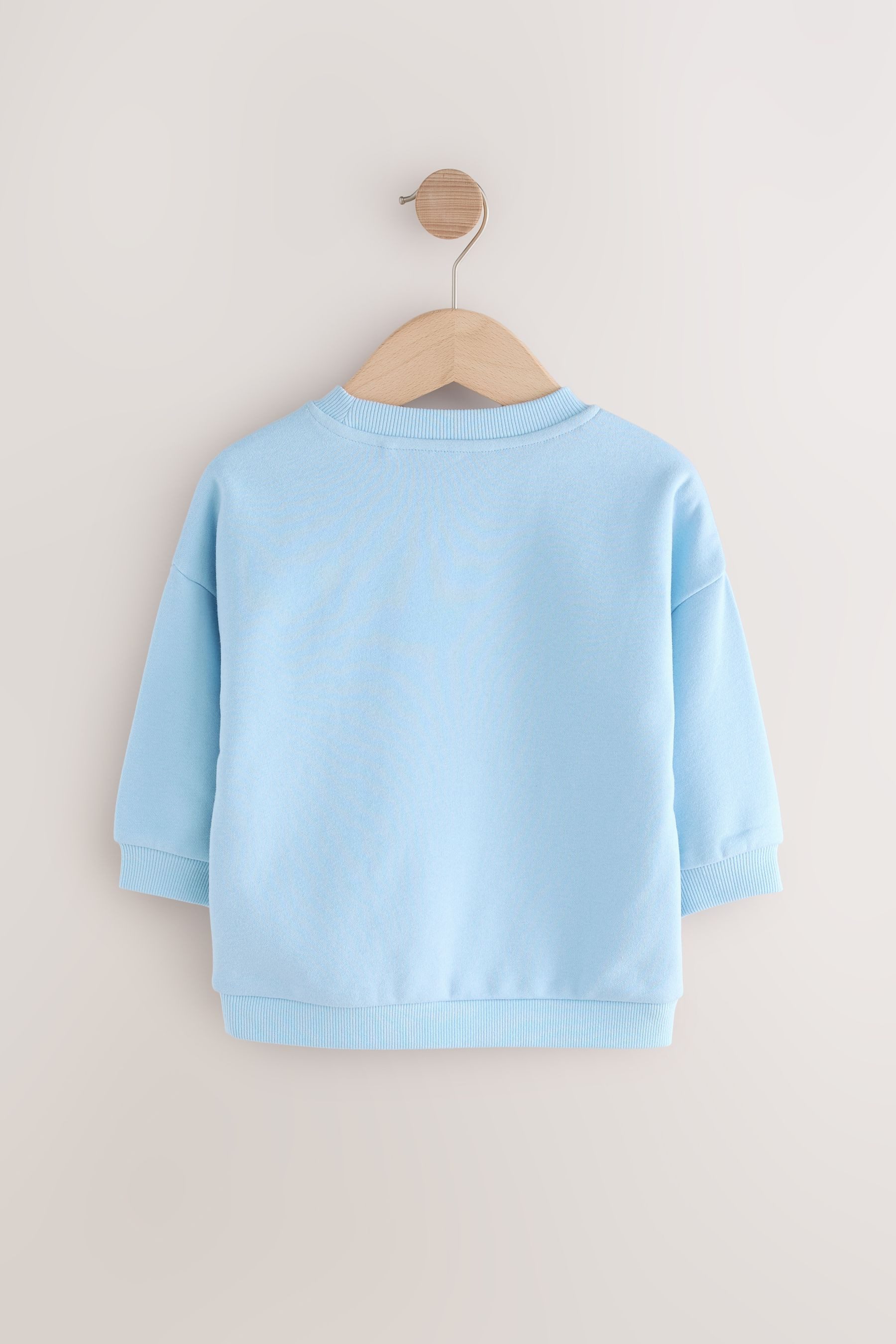 Next Sweater Sweatshirt mit Print aus günstig online kaufen