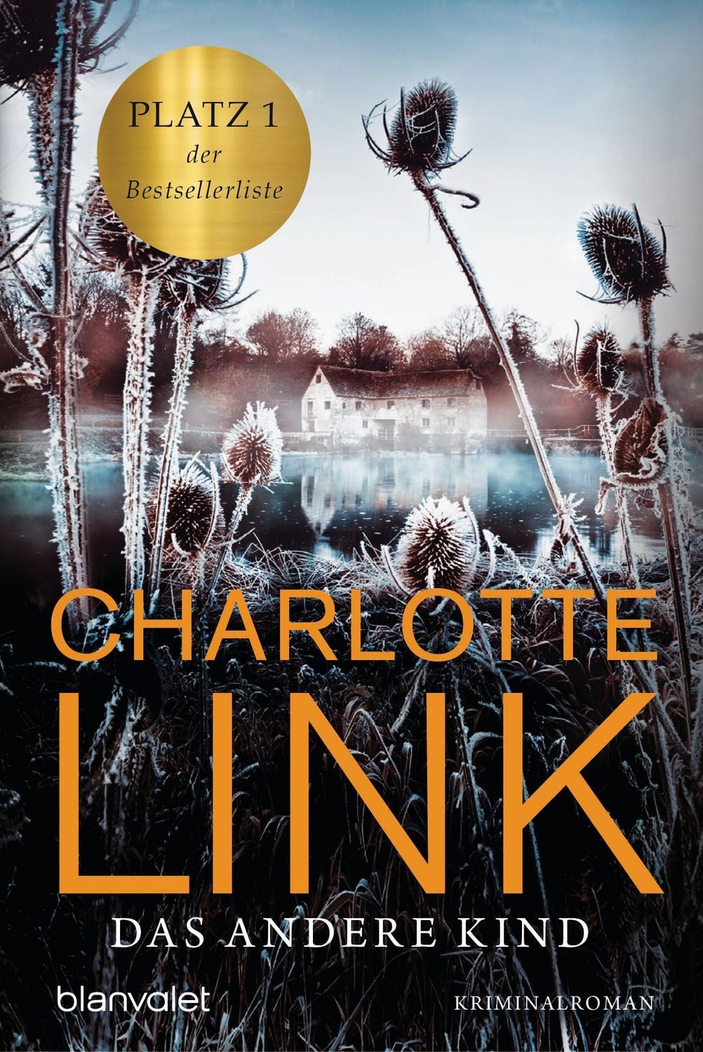 Das andere Kind / Charlotte Link