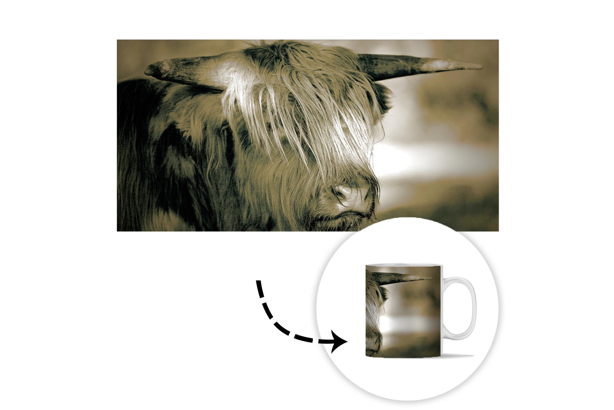 MuchoWow Tasse Schottischer Highlander - Haare, Keramik, Kaffeetassen, - Tiere Becher, Teetasse, Geschenk Teetasse