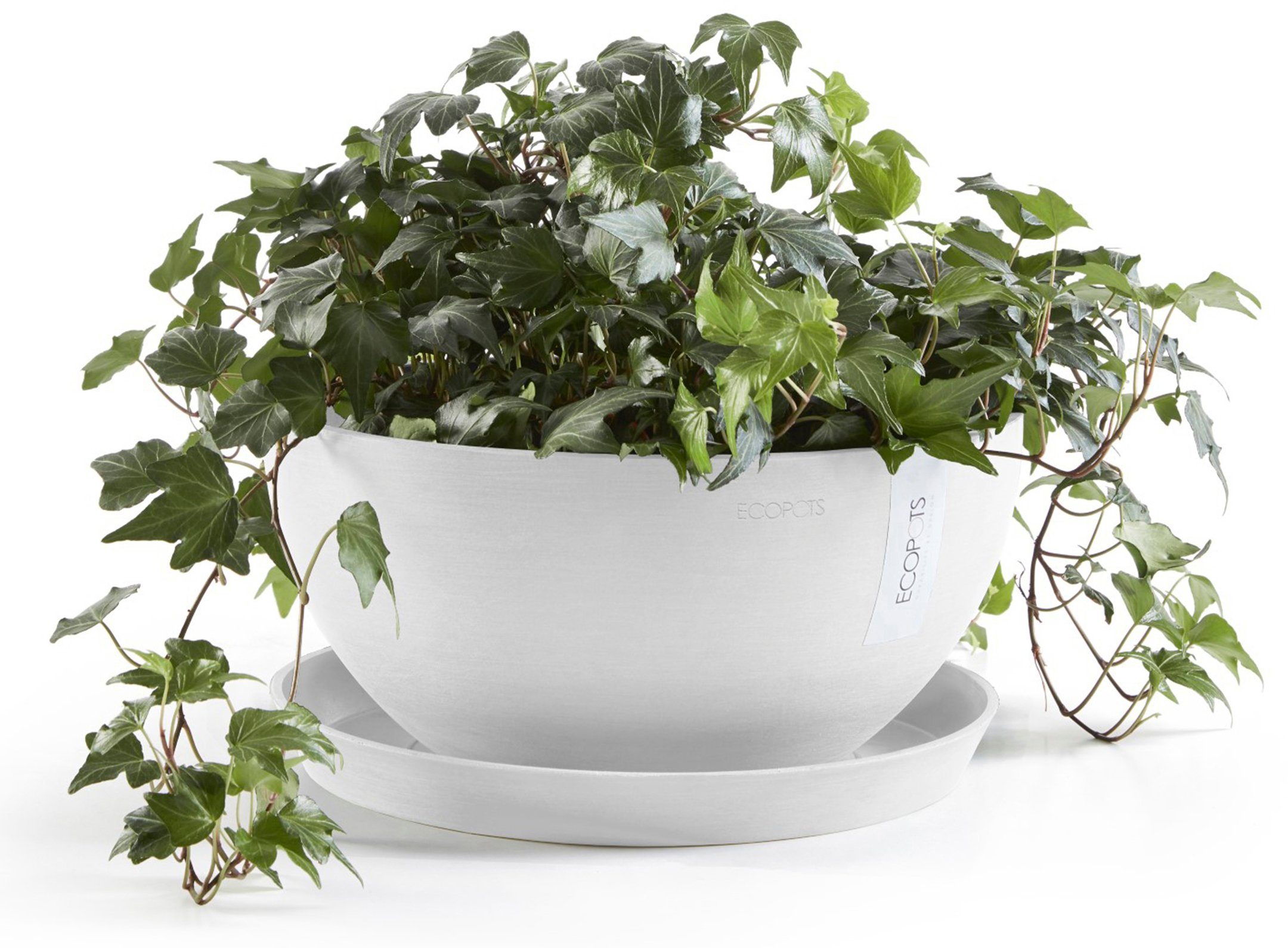 ECOPOTS Blumentopf Brussels 35 Weiß, für günstig online kaufen