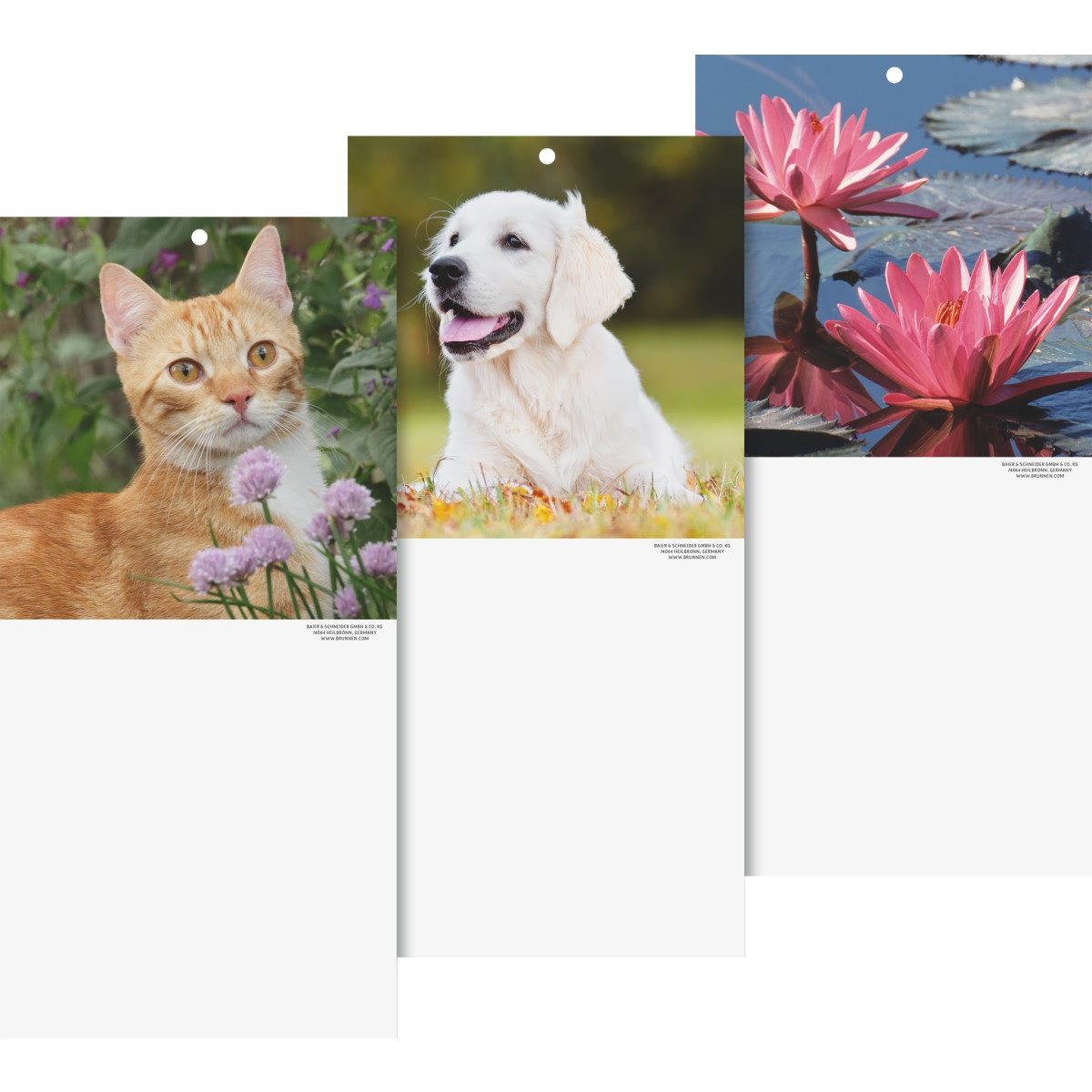 BRUNNEN Abreißkalender Kalenderrückwand 15,5x29cm Tier- und Blumenmotive sortiert
