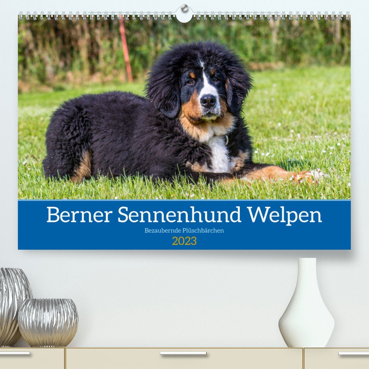 CALVENDO Wandkalender Berner Sennenhund Welpen - Bezaubernde Plüschbärchen (Premium, hochwertiger DIN A2 Wandkalender 2023, Kunstdruck in Hochglanz)