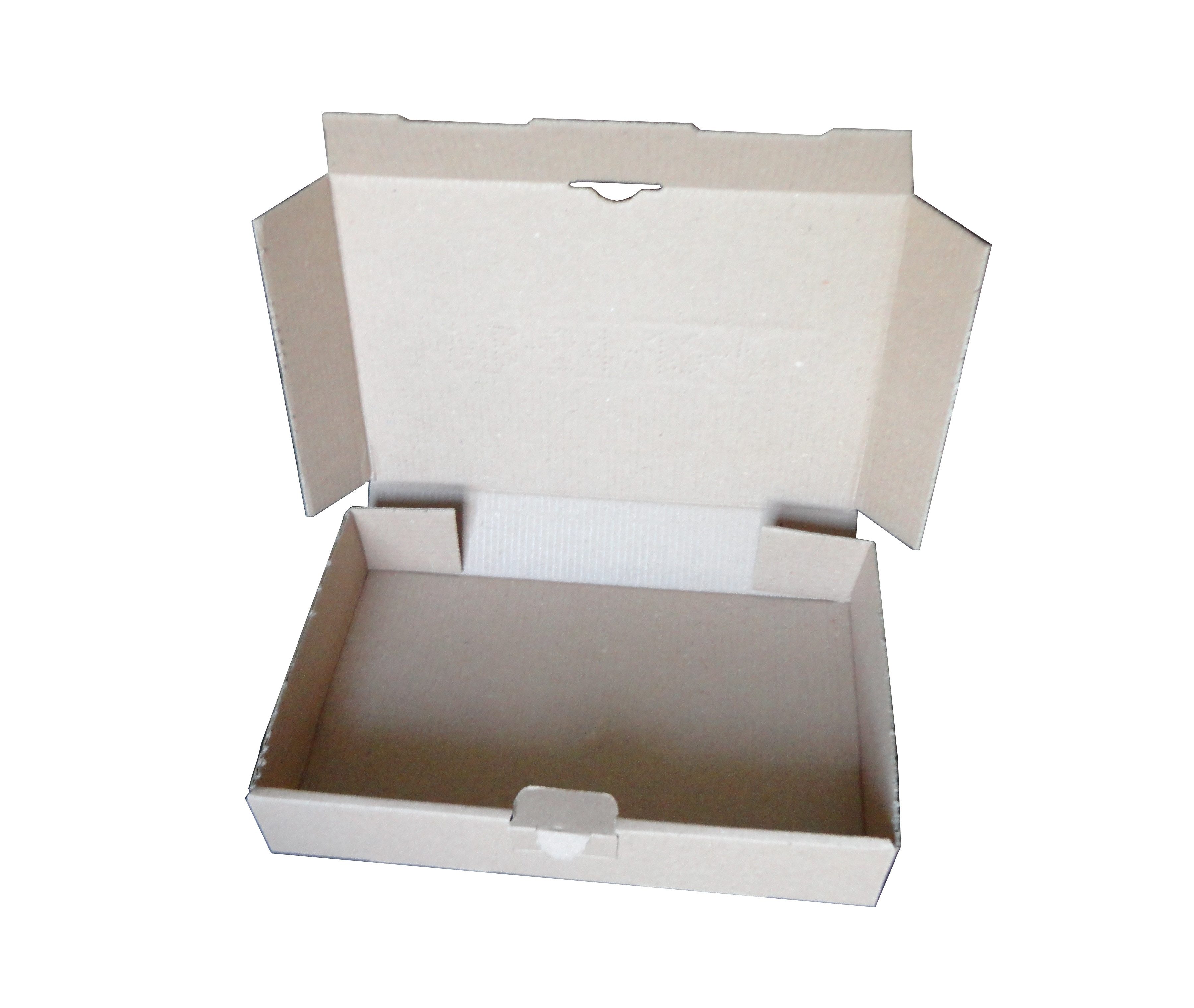 Versandkarton 100 Maxibriefkartons / 240 x 160 x 45 mm / Farbe: braun