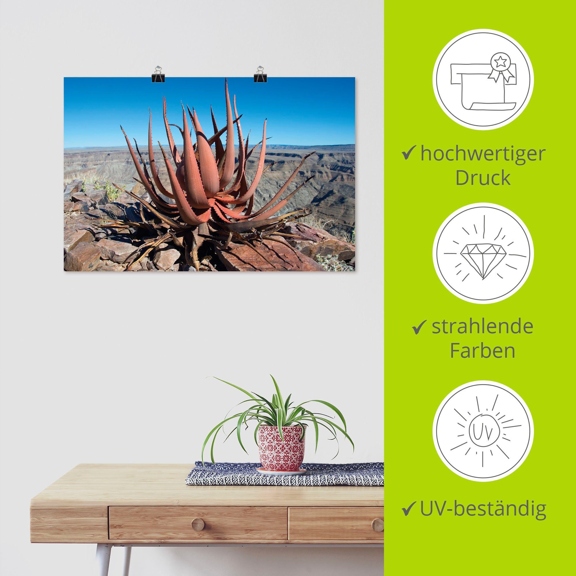 Wandbild Artland Aloe Sukkulente, Leinwandbild, (1 Alubild, St), Poster versch. oder gariepensis, Größen Wandaufkleber als Pflanzenbilder in