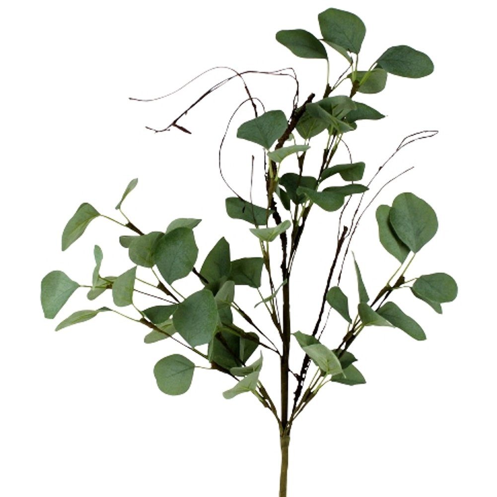 Kunstblume Höhe 60 cm Eukalyptus-Zweig künstlich grün Dekopflanze Eukalyptus, Macosa Home, Höhe 60 cm, Eukalyptusblätter Deko für Hochzeit Tischdeko Wanddeko. Reduzierter Preis € 13,90. Unverbindliche Preisempfehlung € 19,90